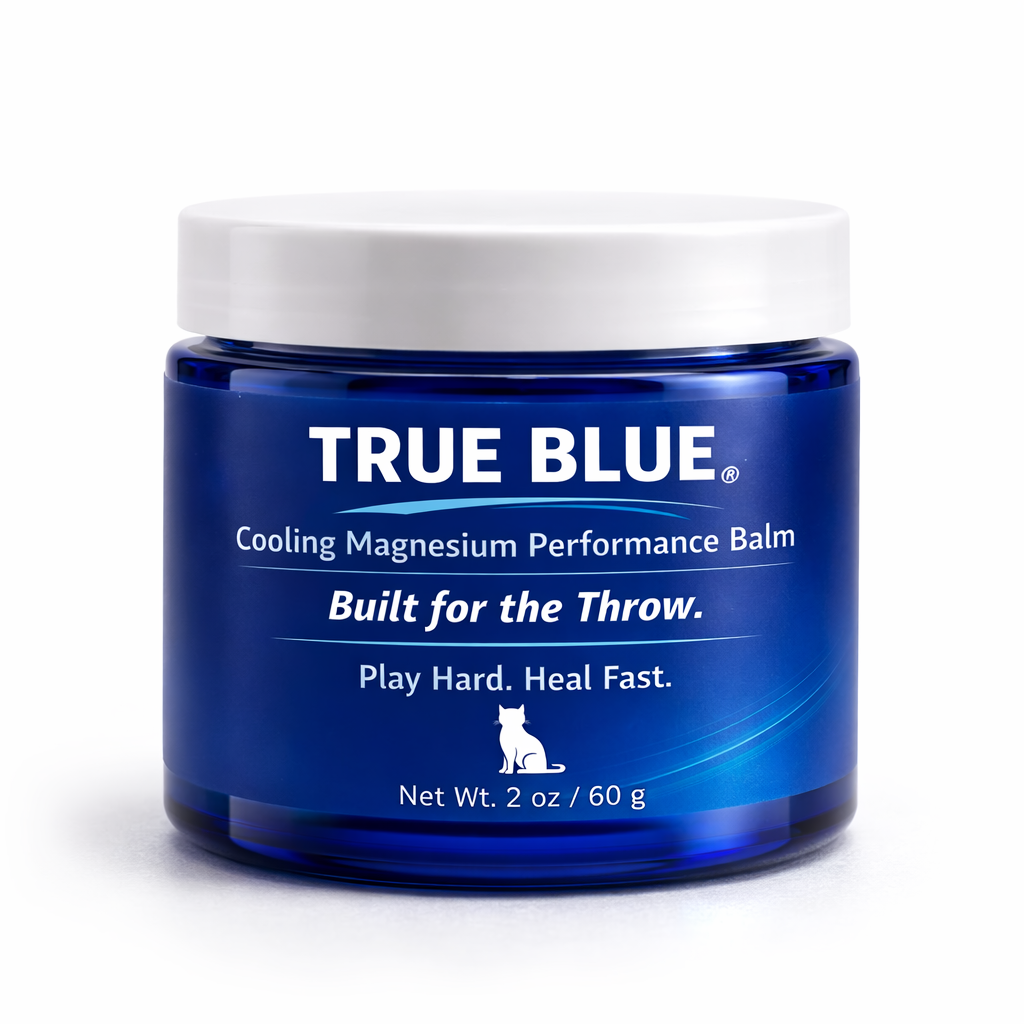 ChatGPT Image Feb 26, 2026, 11_37_52 AM.png