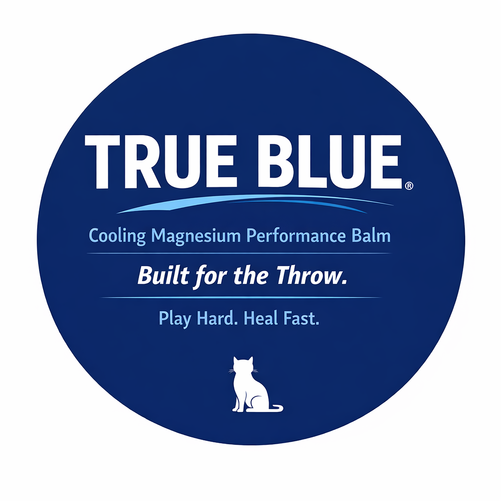 ChatGPT Image Feb 15, 2026, 10_39_25 AM.png