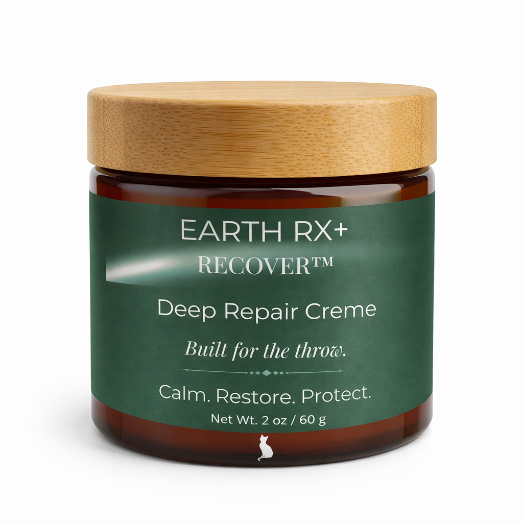 ChatGPT Image Feb 26, 2026, 11_12_19 AM.png