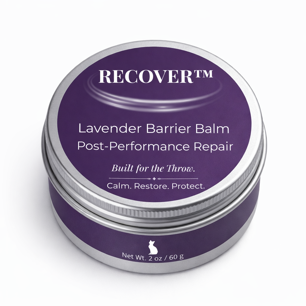 ChatGPT Image Feb 26, 2026, 10_56_09 AM.png