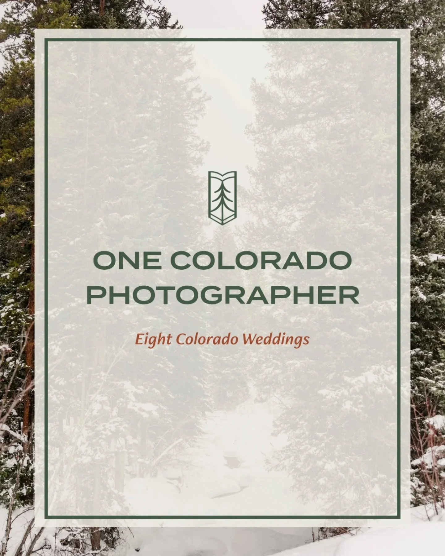 Weddings come in alllll shapes and sizes here in Colorado, and I'm fortunate to capture them all!

From elopements in the wilderness, to intimate micro weddings, to huge traditional weddings in Denver, I'm there! If you like it, I love it!!!

I hope 