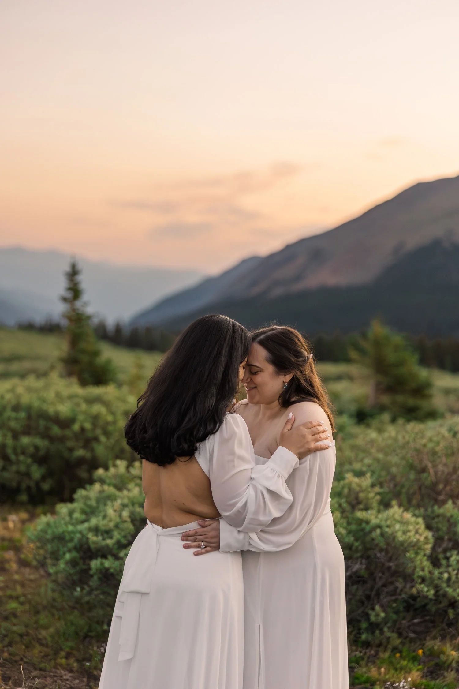 12_colorado-lgbtq-wedding-photographer-georgetown-colorado.jpg
