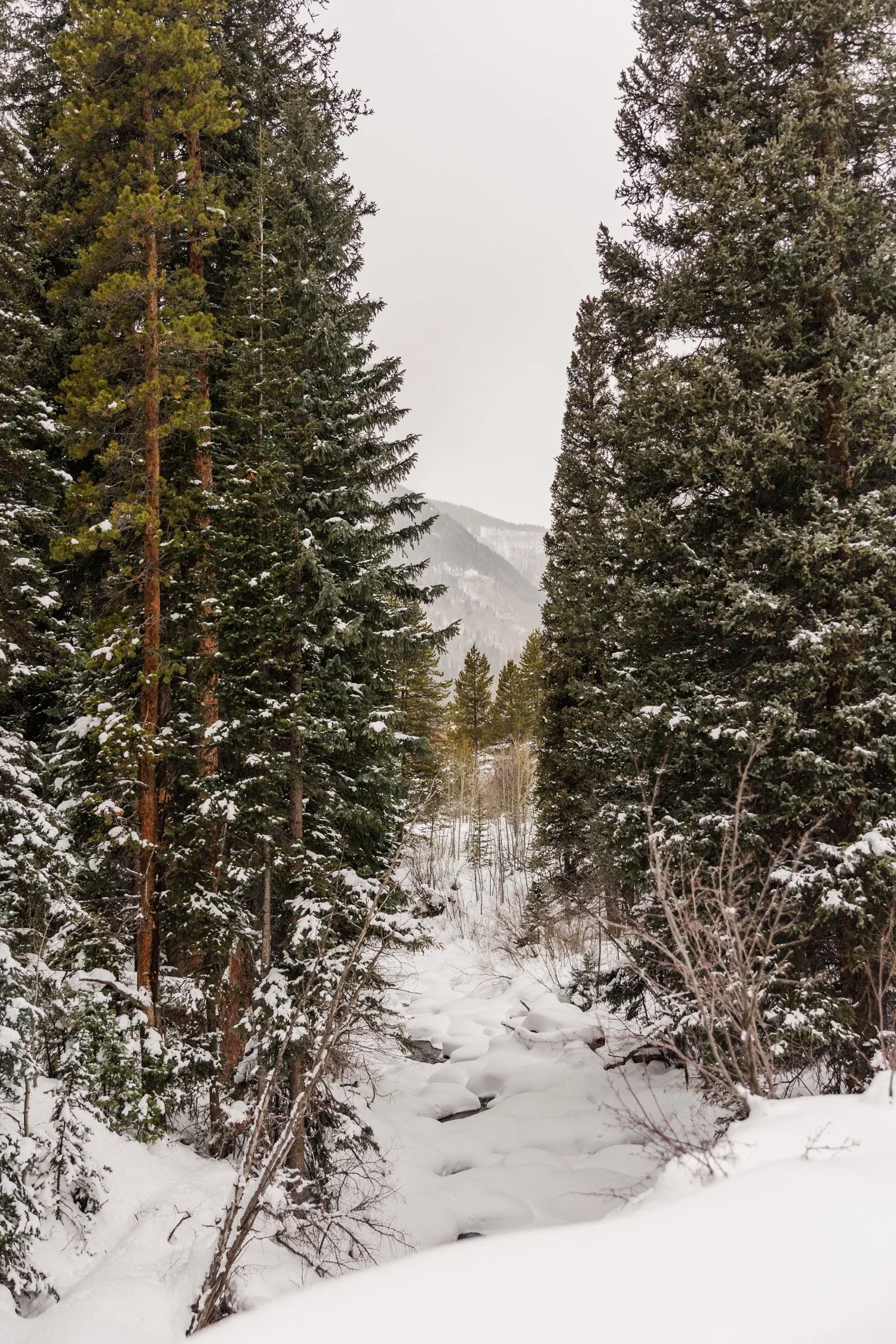 07_vail-colorado-elopement.jpg