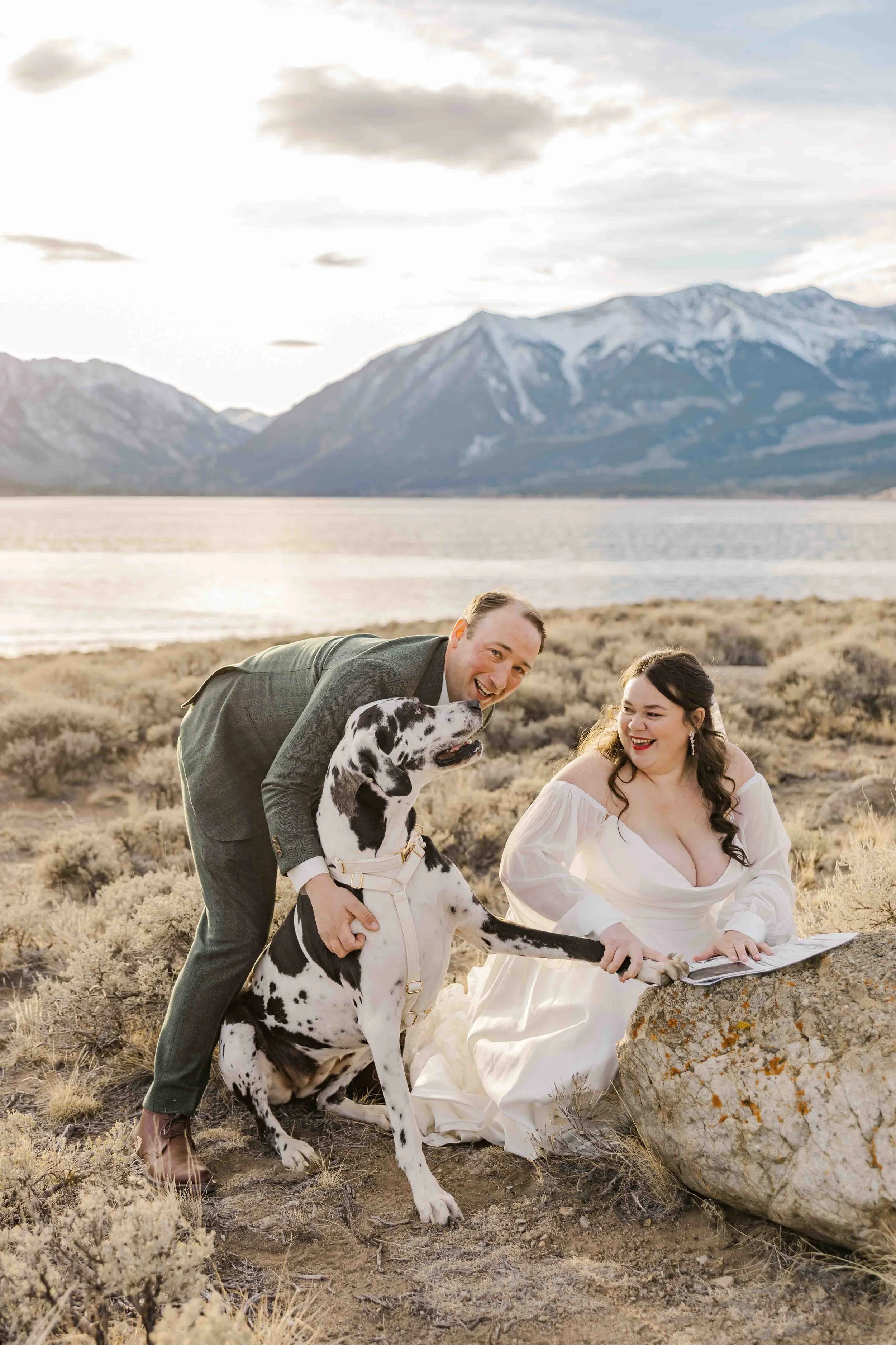 57_dogs-sign-marriage-license-colorado-self-solemnization-witnesses.jpg