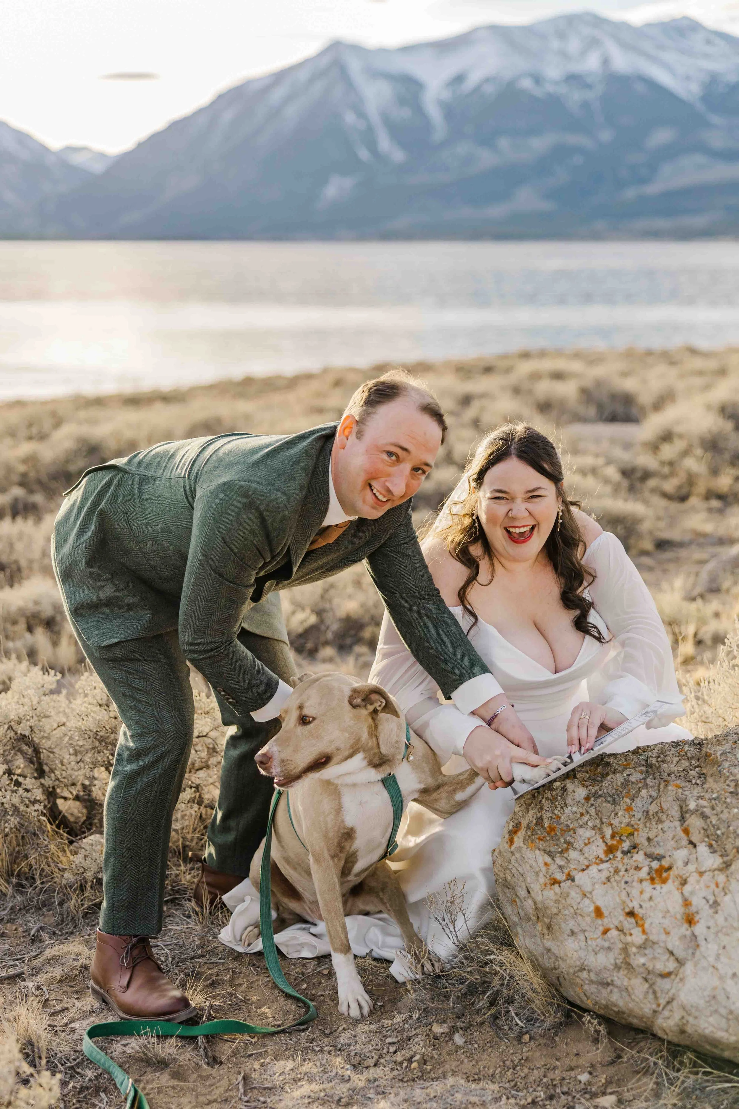 56_dogs-sign-marriage-license-colorado-self-solemnization-witnesses.jpg