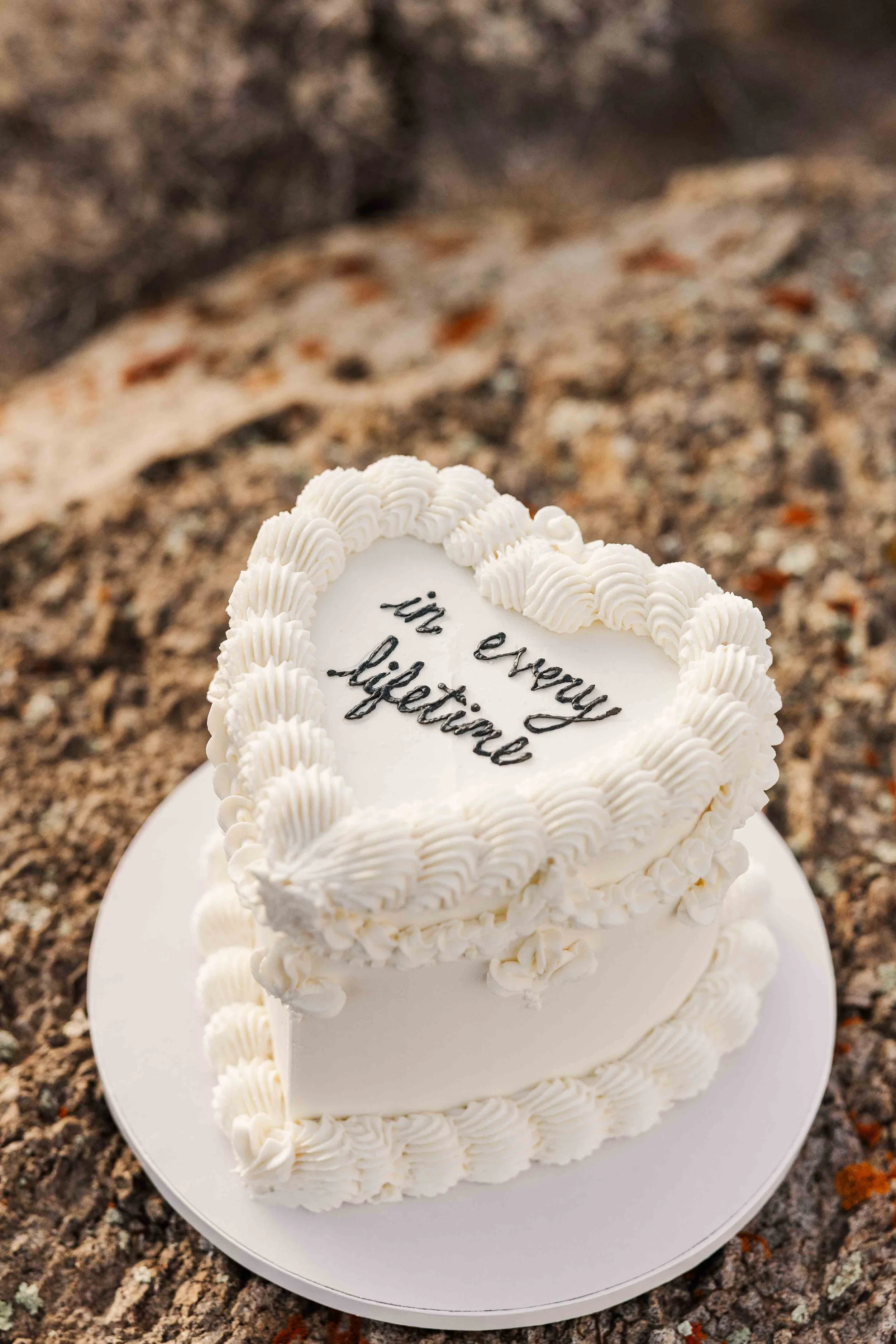 59_retro-newly-wed-cake-colorado-elopement.jpg