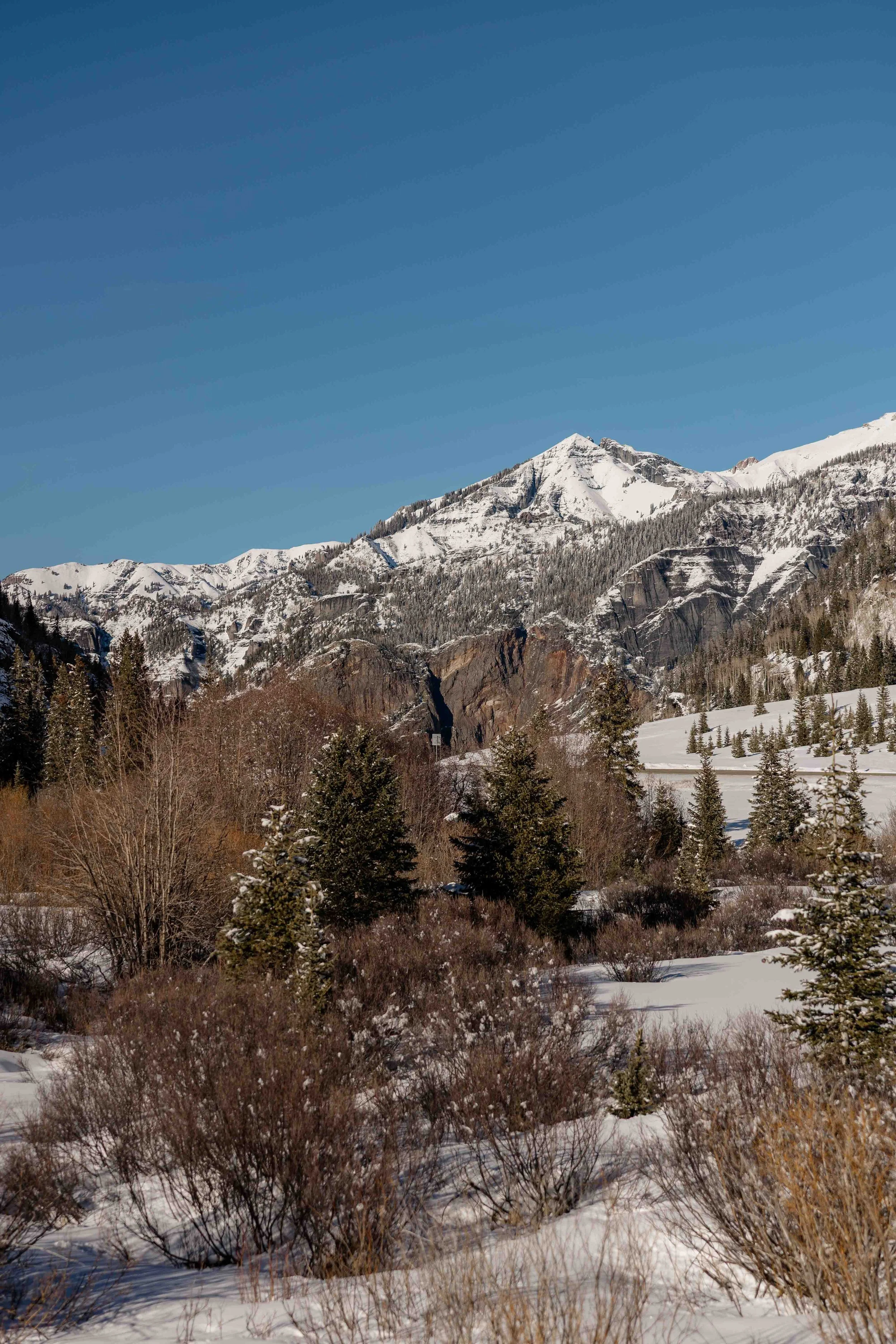 39_colorado-elopement-in-san-juan-mountains.jpg