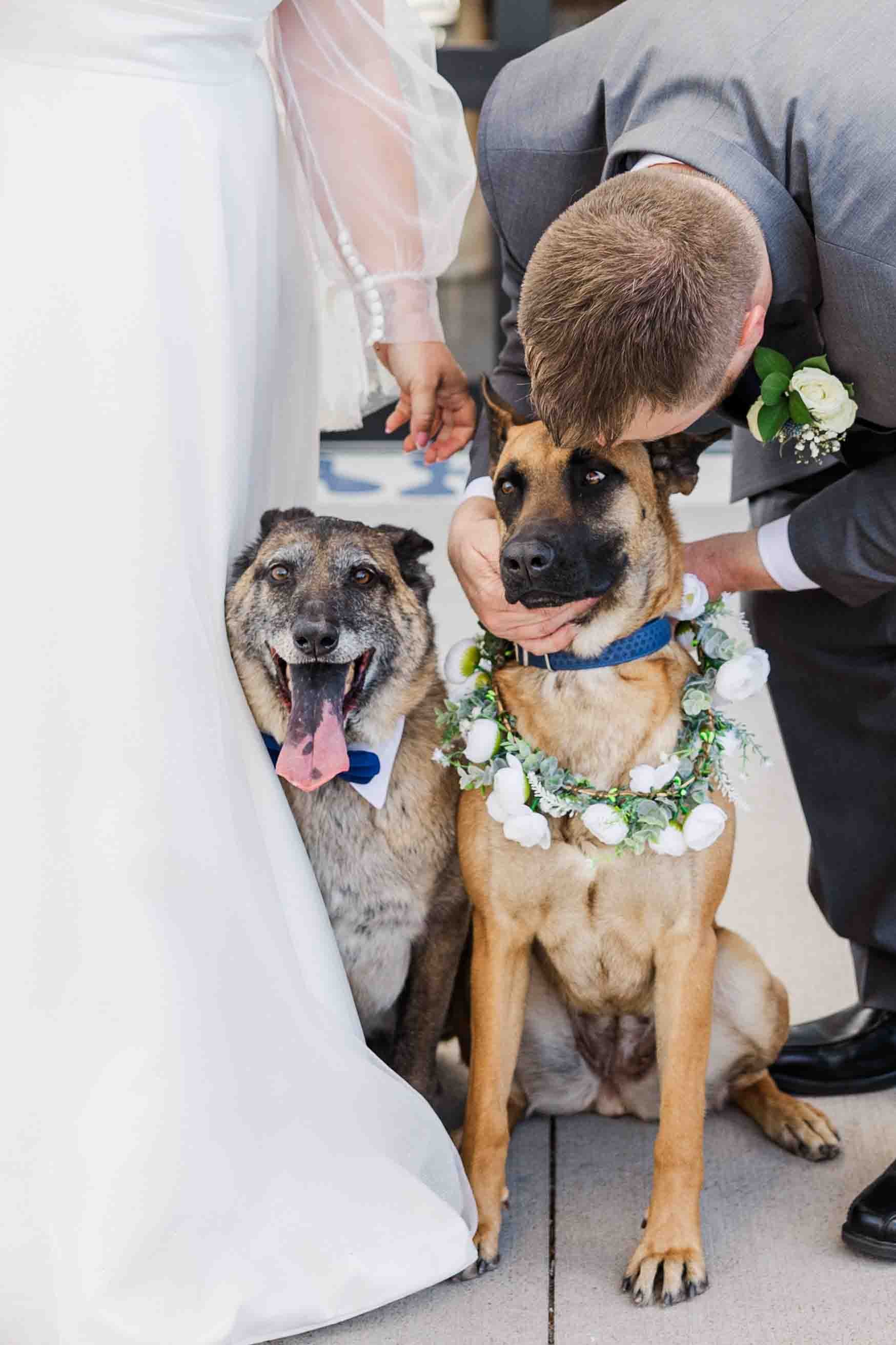 07_pet-friendly-wedding-venue-all-inclusive.jpg