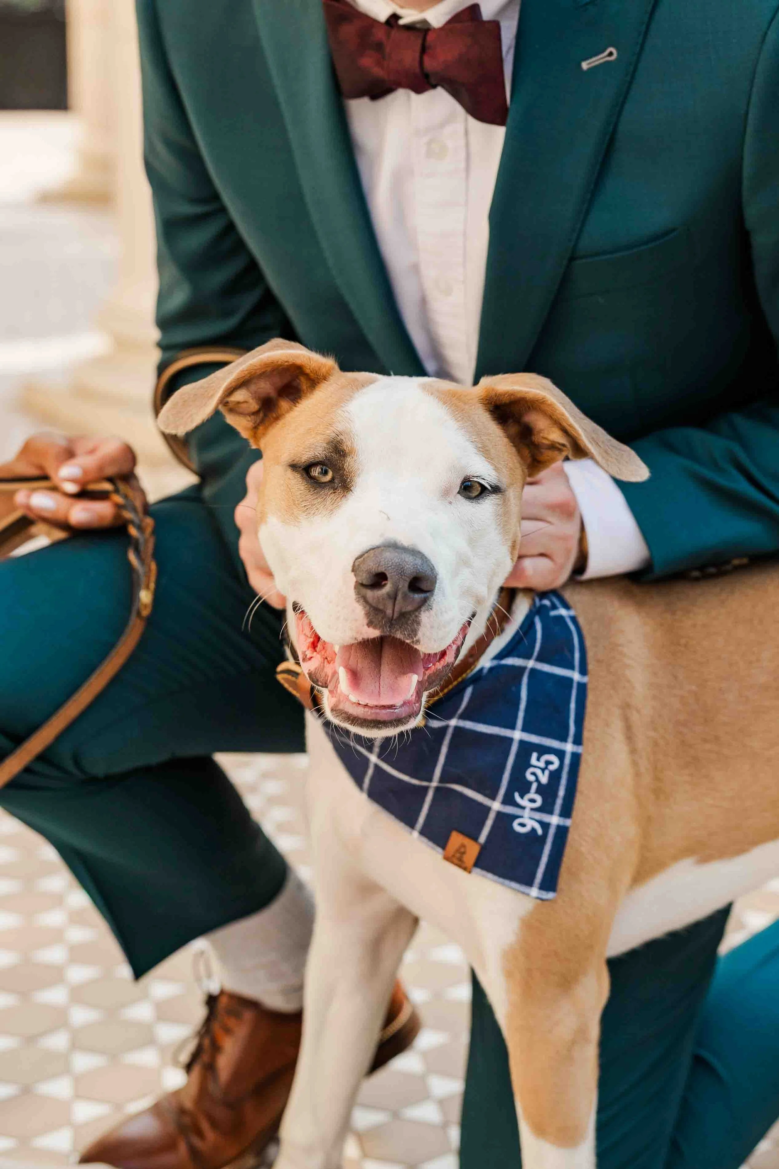 09_lionsgate-event-center-dog-friendly-wedding.jpg