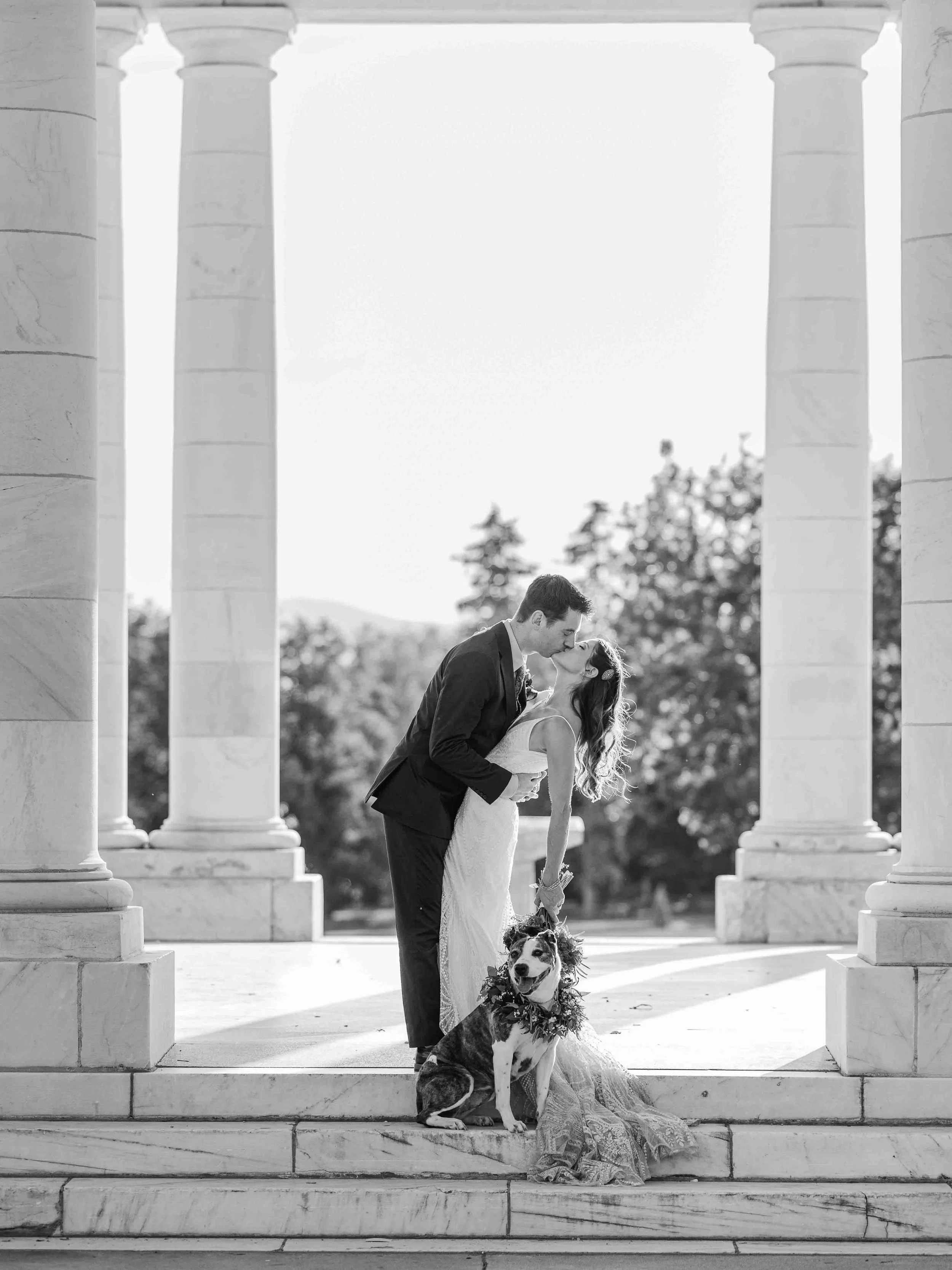 19_denver-inspiration-wedding-portraits-with-pets.jpg