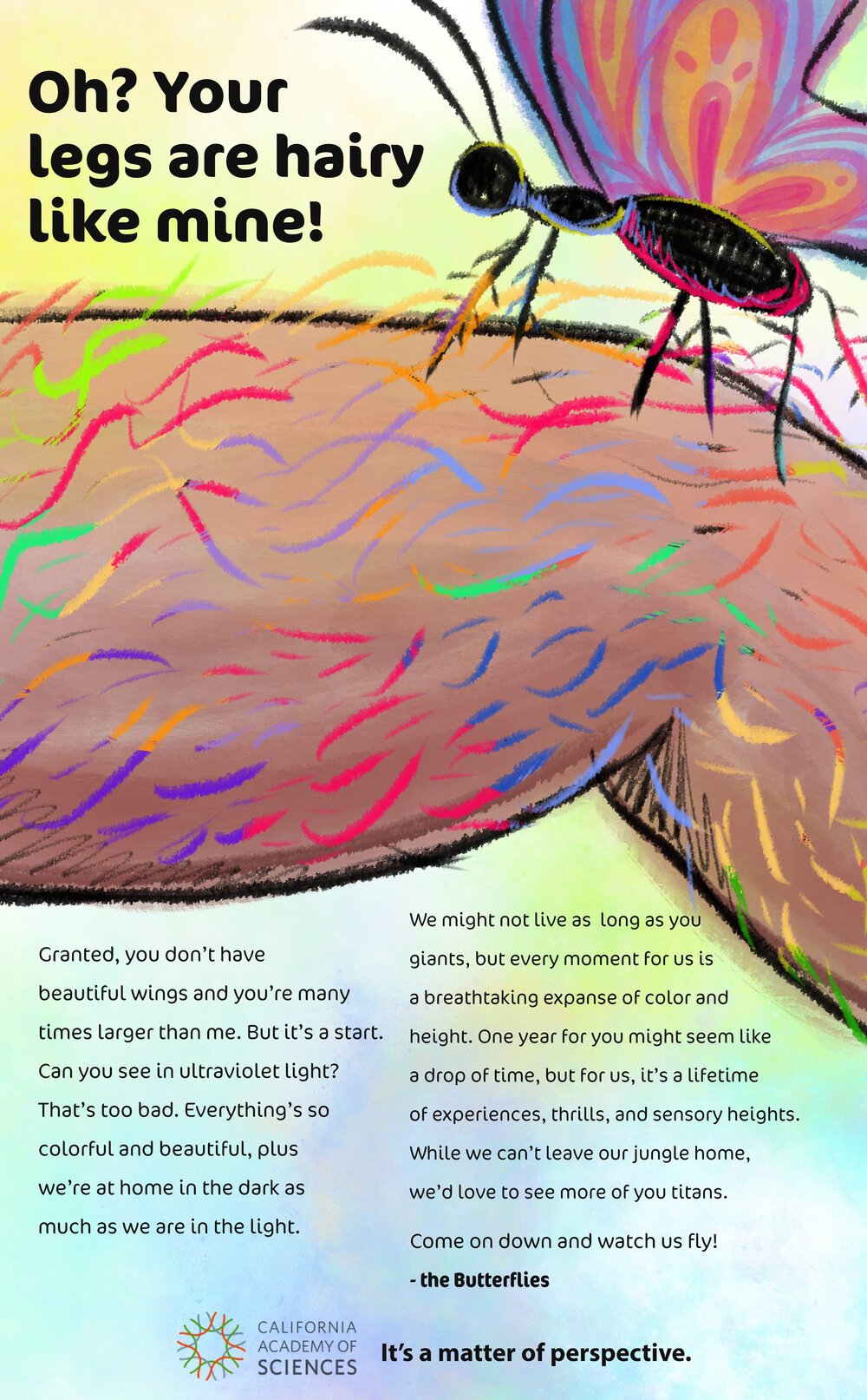 butterfly_OOHv2.jpeg