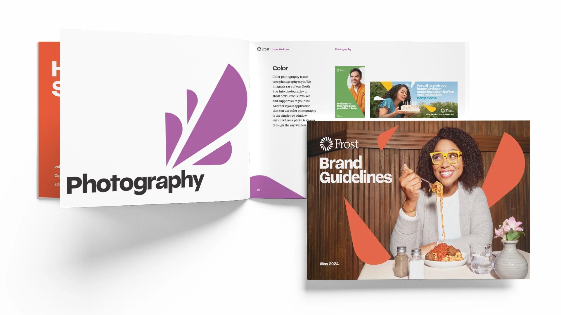 Frost-Brand Guidelines.jpg