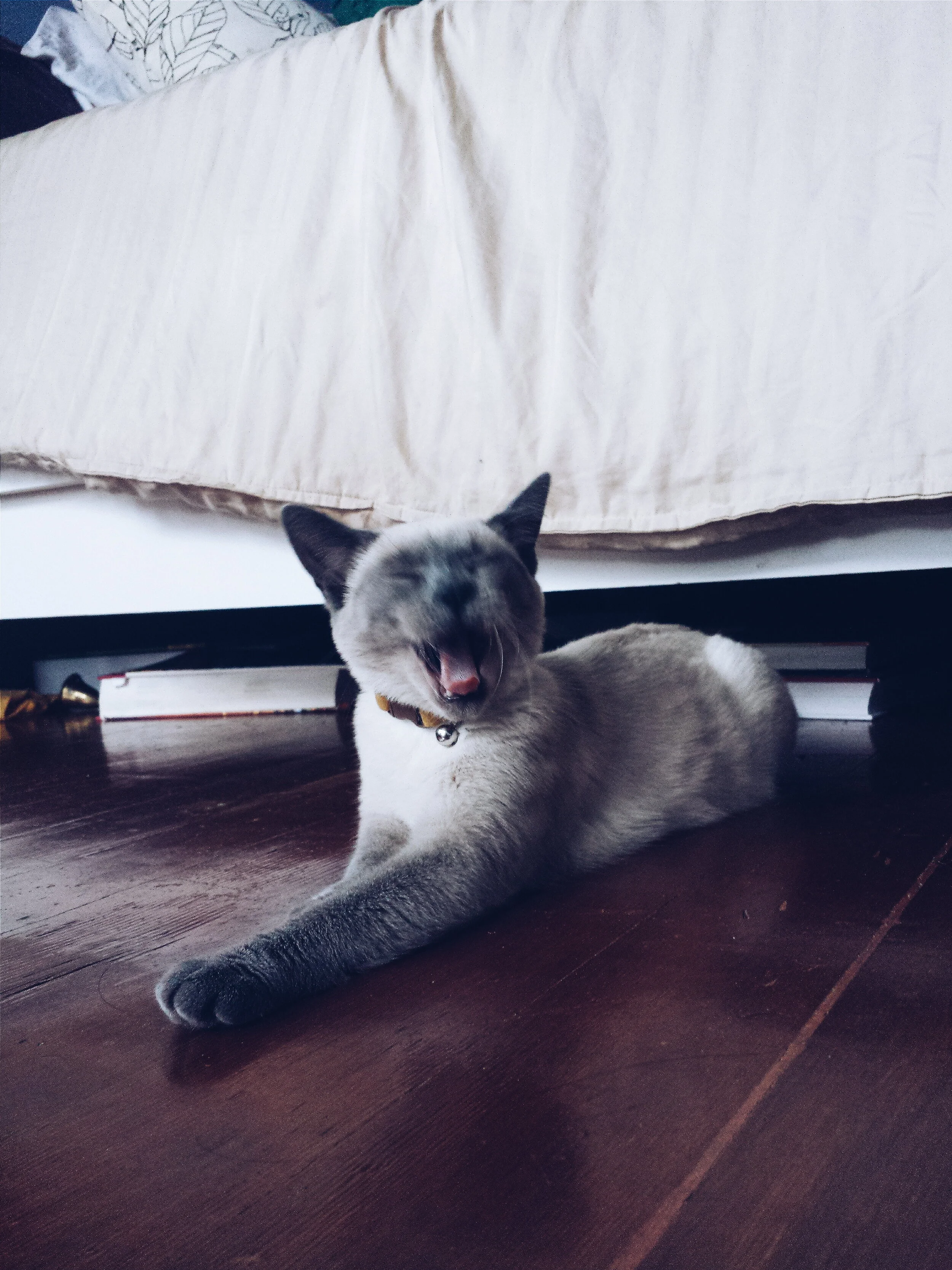 01011001010111001011001011010100