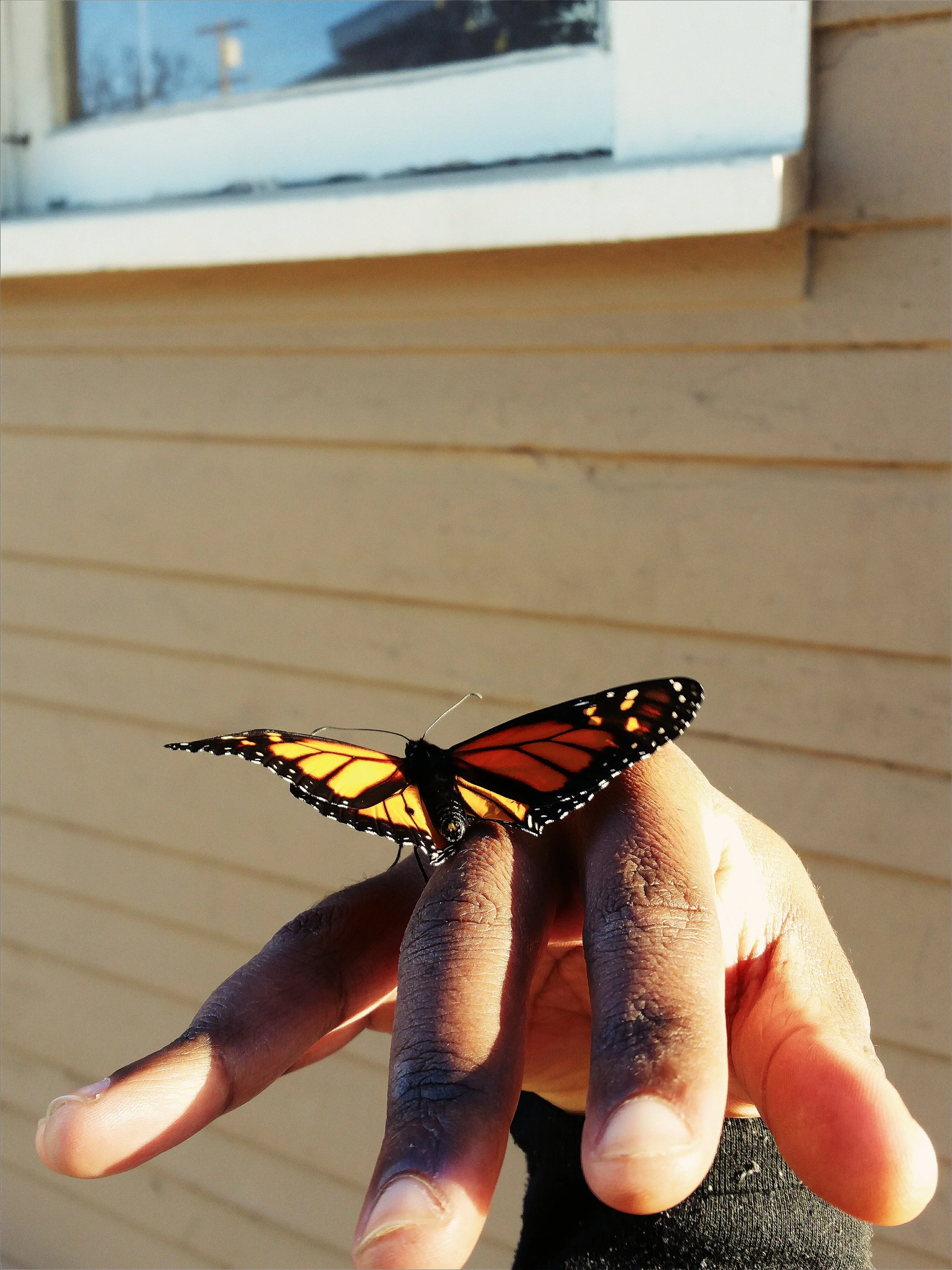 01011001010111001011001011010100111101100110101101001011010010110010111