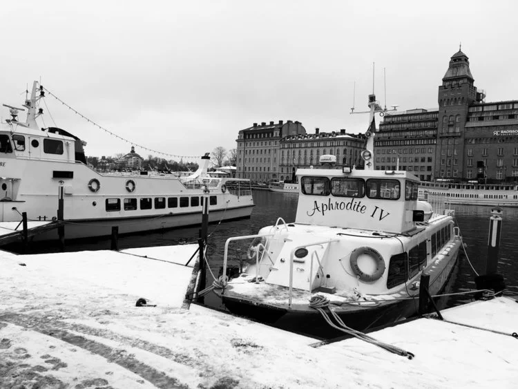 The Refugee Debate in Europe