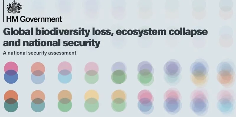 No surprise to us: what the UK's biodiversity alarm looks like from the field&nbsp;