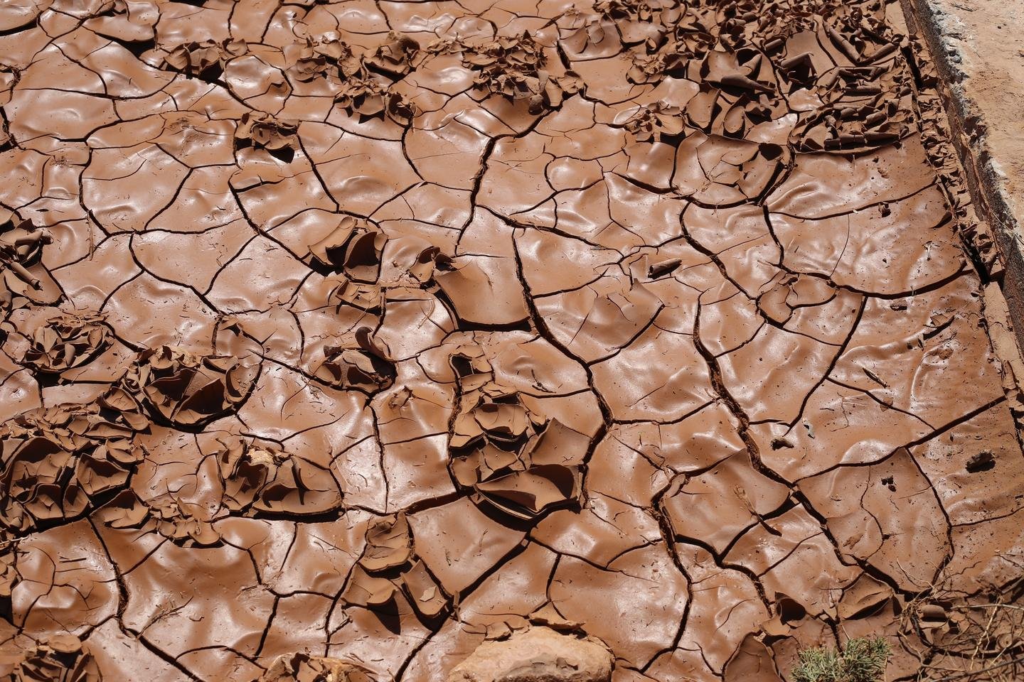 Every Drop Counts? Why Libya Is Thinking Differently About Water Security