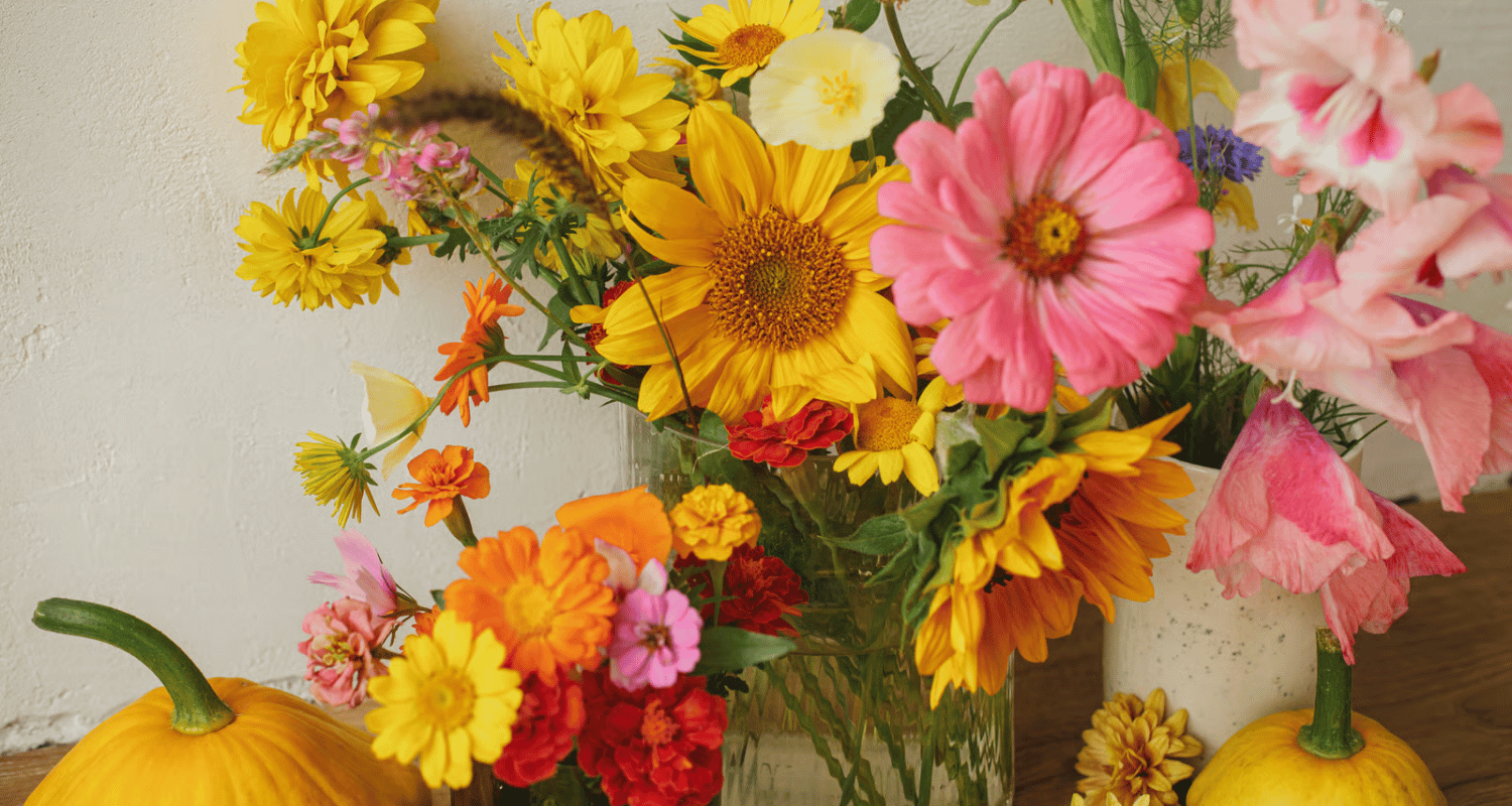 Fall Flowers