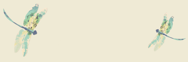 Access Bars® — Joy Reeves