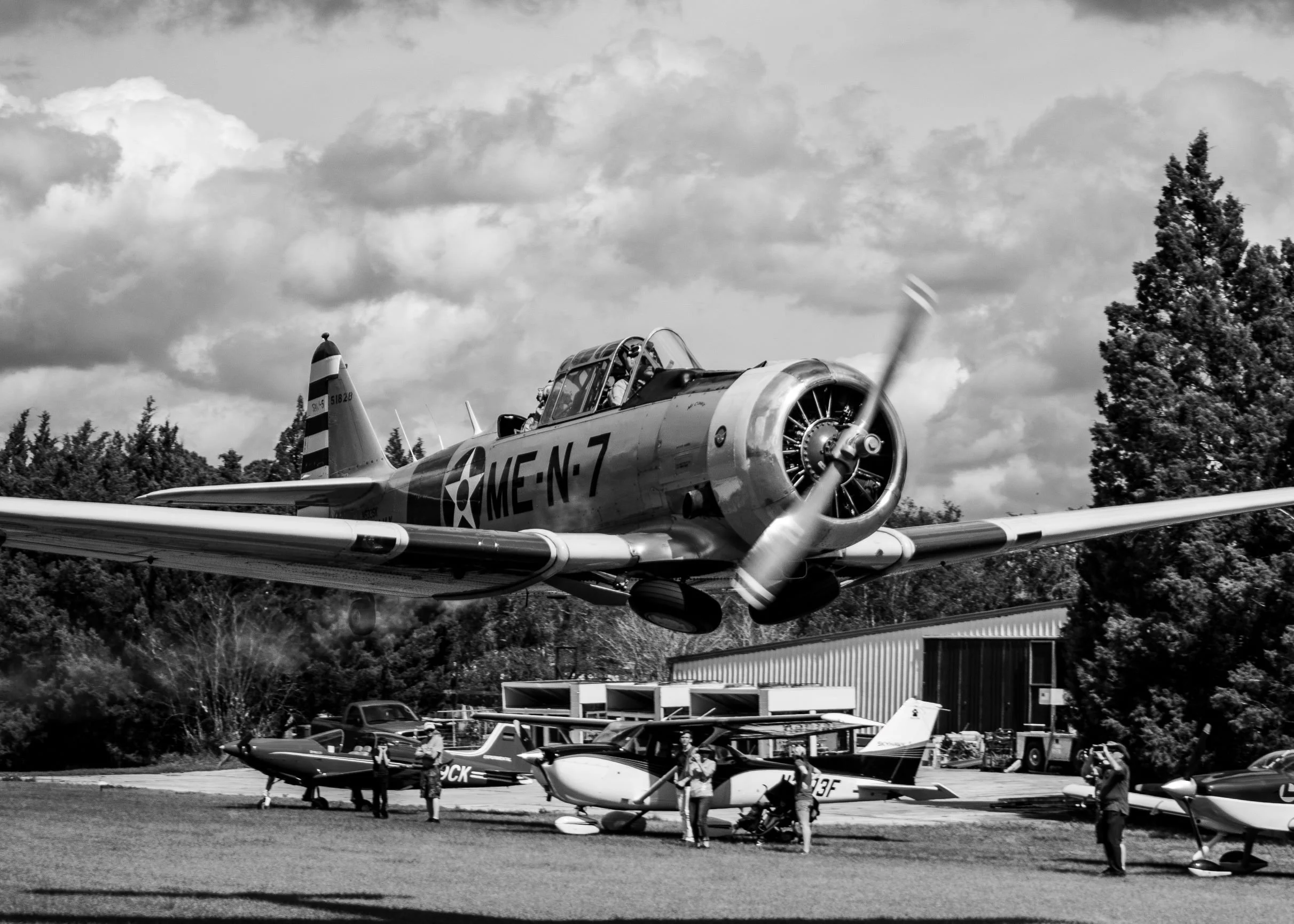 DSC_0887-2.jpg