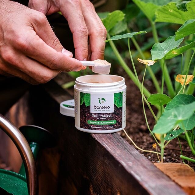 Soil Probiotic Vs. Fertilizers

To truly understand the difference between the two, one has to look in the context of sustainability. Fertilizers are manmade chemicals that are used by plants as food for their growth and development. For example, ure