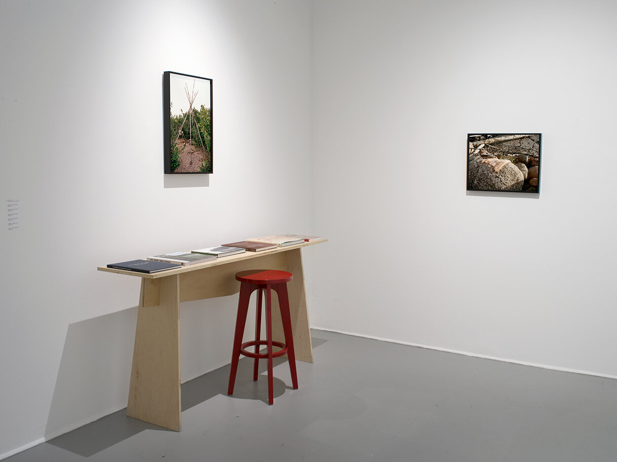 Arcadia: Thoughts on the Contemporary Pastoral, curated by Steve Locke