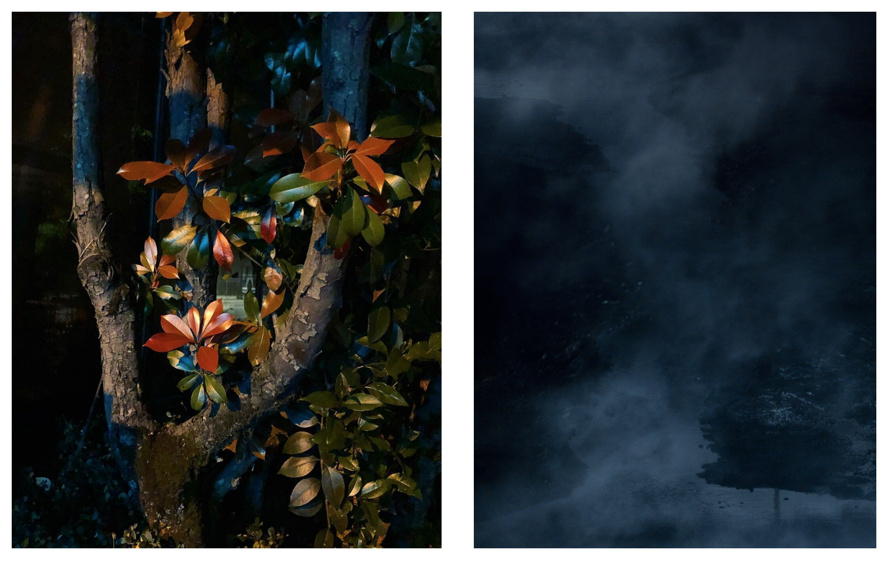 x-files photos — Ryan Arthurs