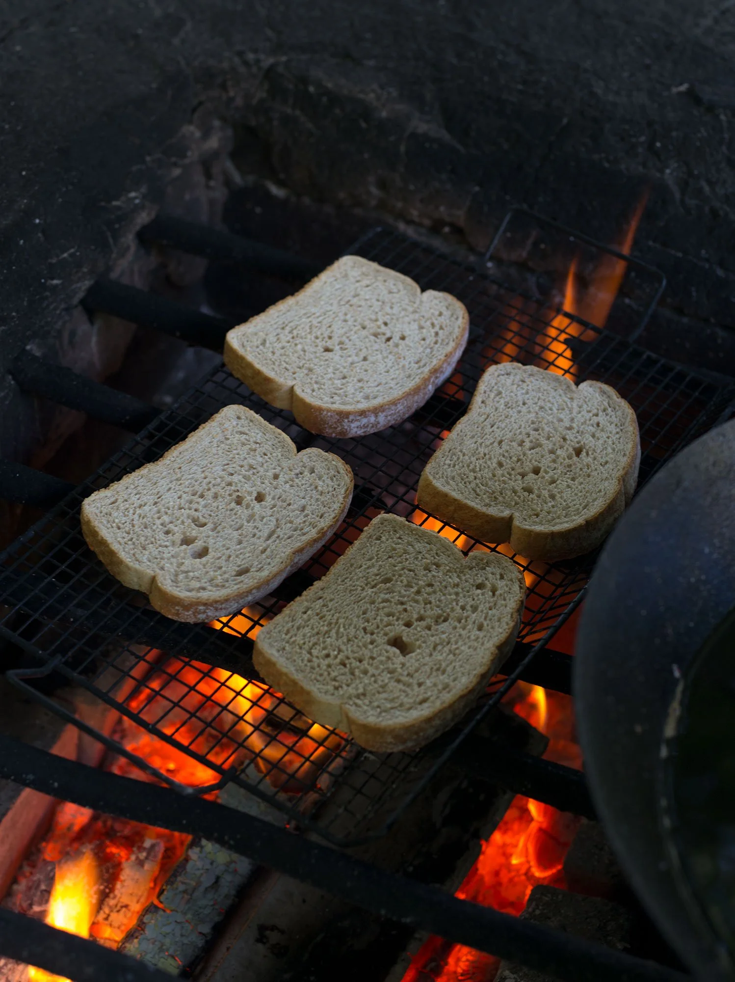 RA_IGP1551_Toast.jpeg