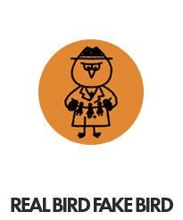 new-fakebird.png