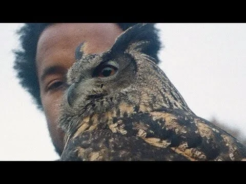 Cautious Clay - REASONS (OFFICIAL VIDEO)