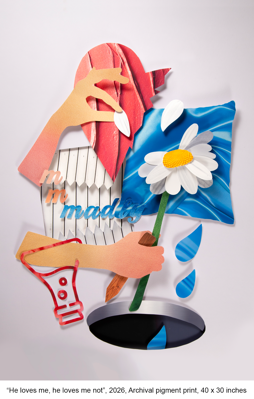 “He loves me, he loves me not”, 2026, Archival pigment print, 40 x 30 inches