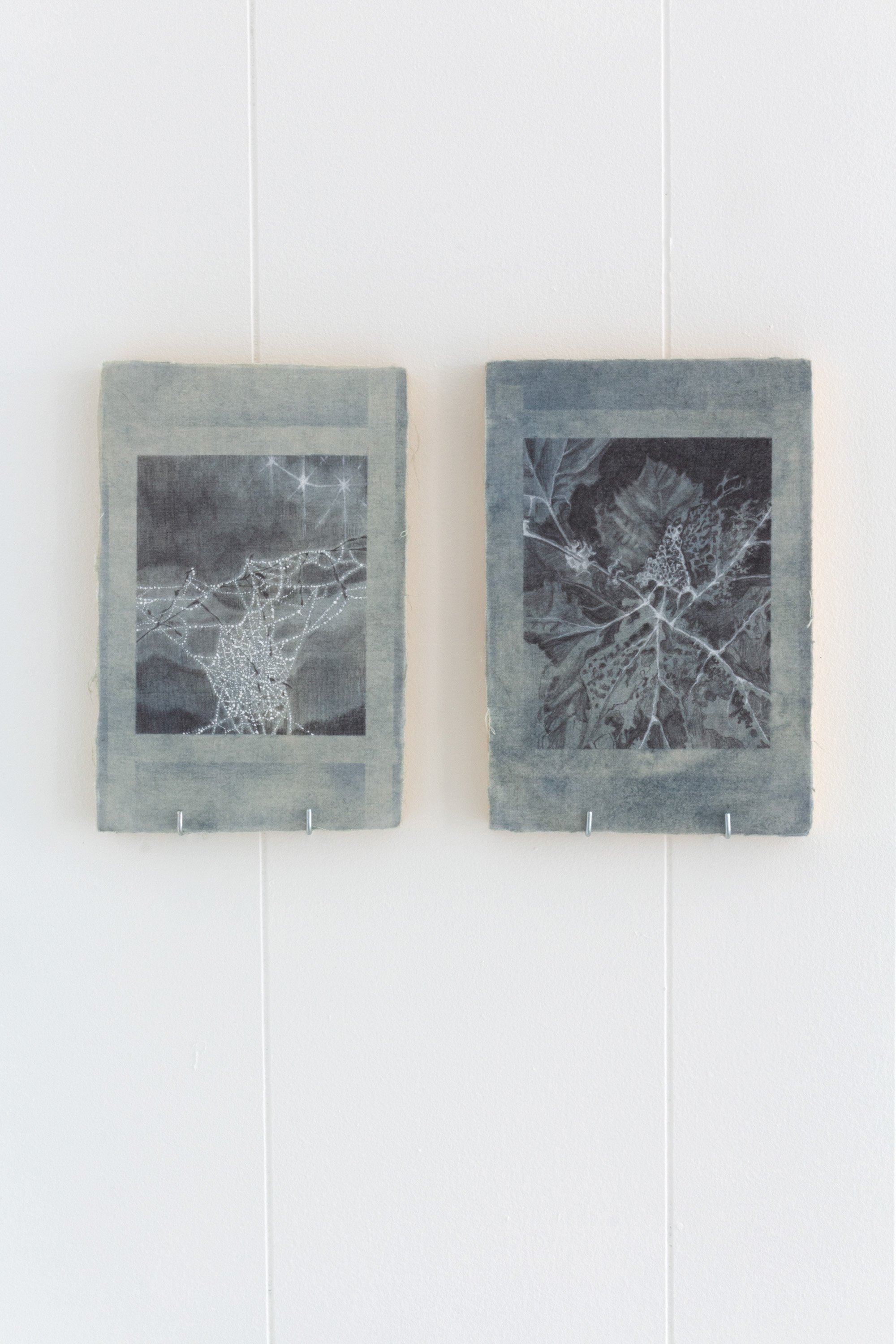  Ash Galka  spiderweb early early morning , 2022  river leaf study , 2022 Indigo dyed cotton and graphite on panel 5.5 x 8 in each 