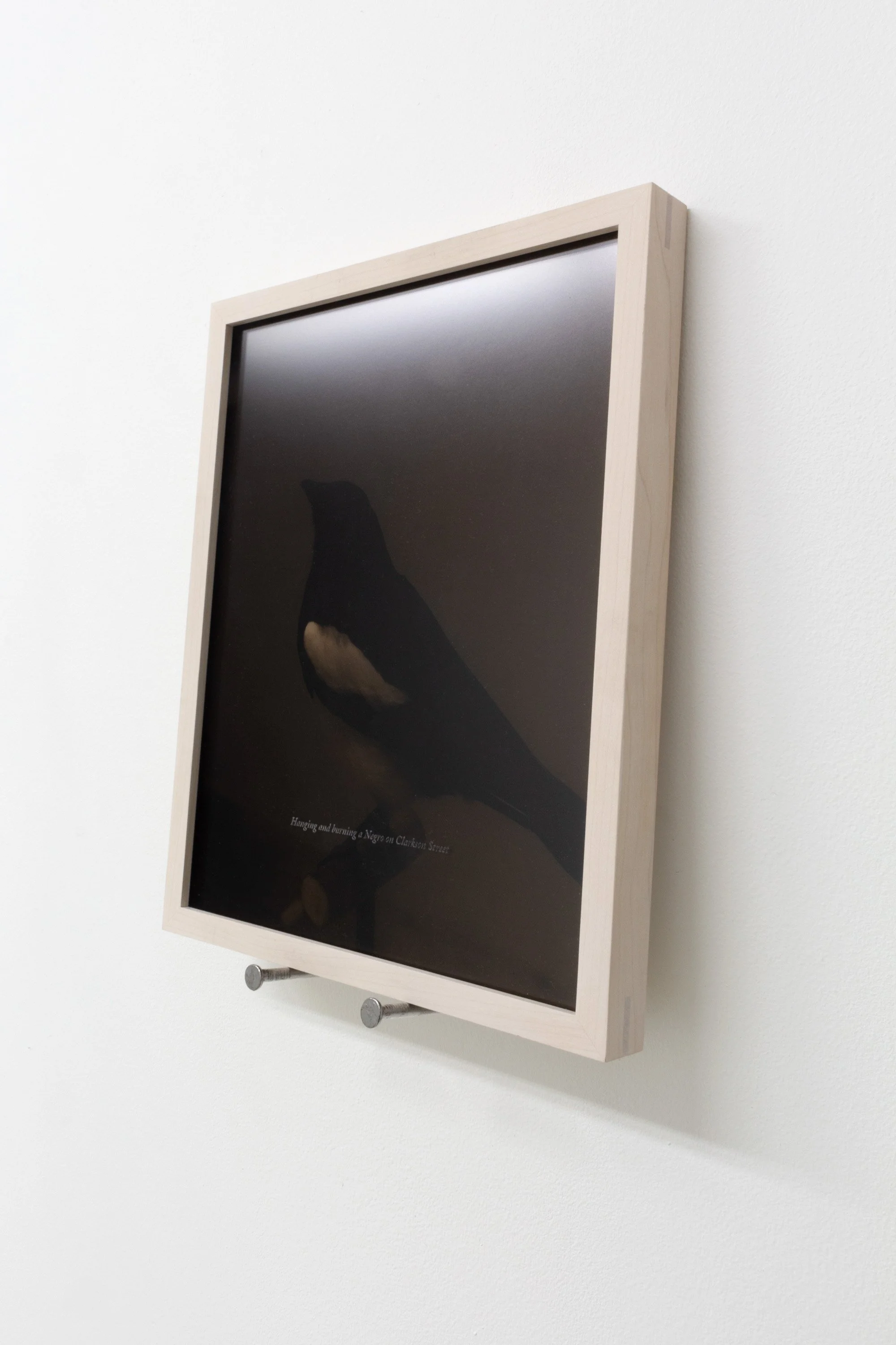   An Auditor; Documentation of Patricia Decker’s Taxidermy Magpie , 2022 Archival inkjet print, etched acrylic 8 x 10 in 9.25 x 11.25 x 1.5 in framed Edition of 5 