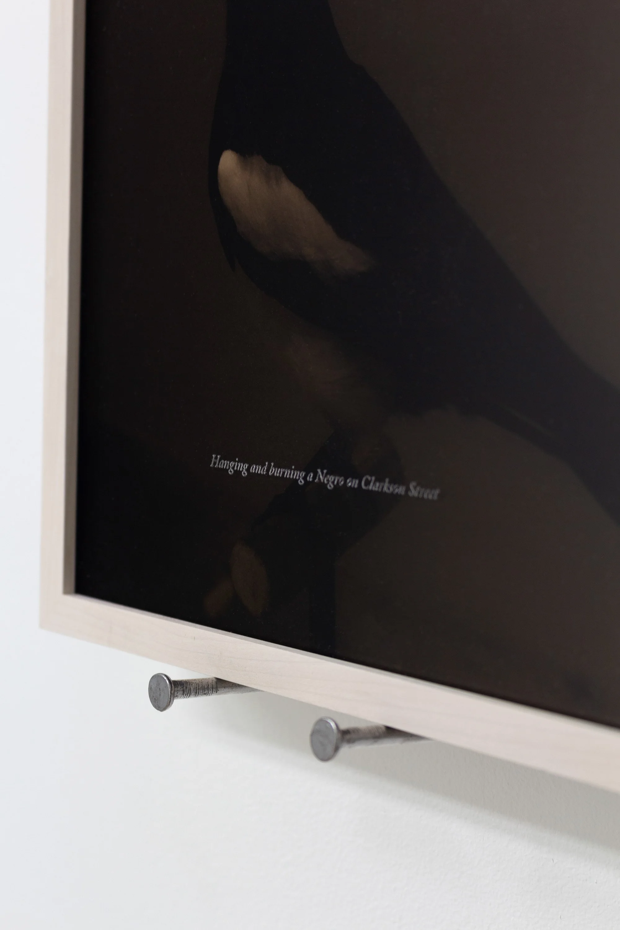   An Auditor; Documentation of Patricia Decker’s Taxidermy Magpie , 2022 Archival inkjet print, etched acrylic 8 x 10 in 9.25 x 11.25 x 1.5 in framed Edition of 5 