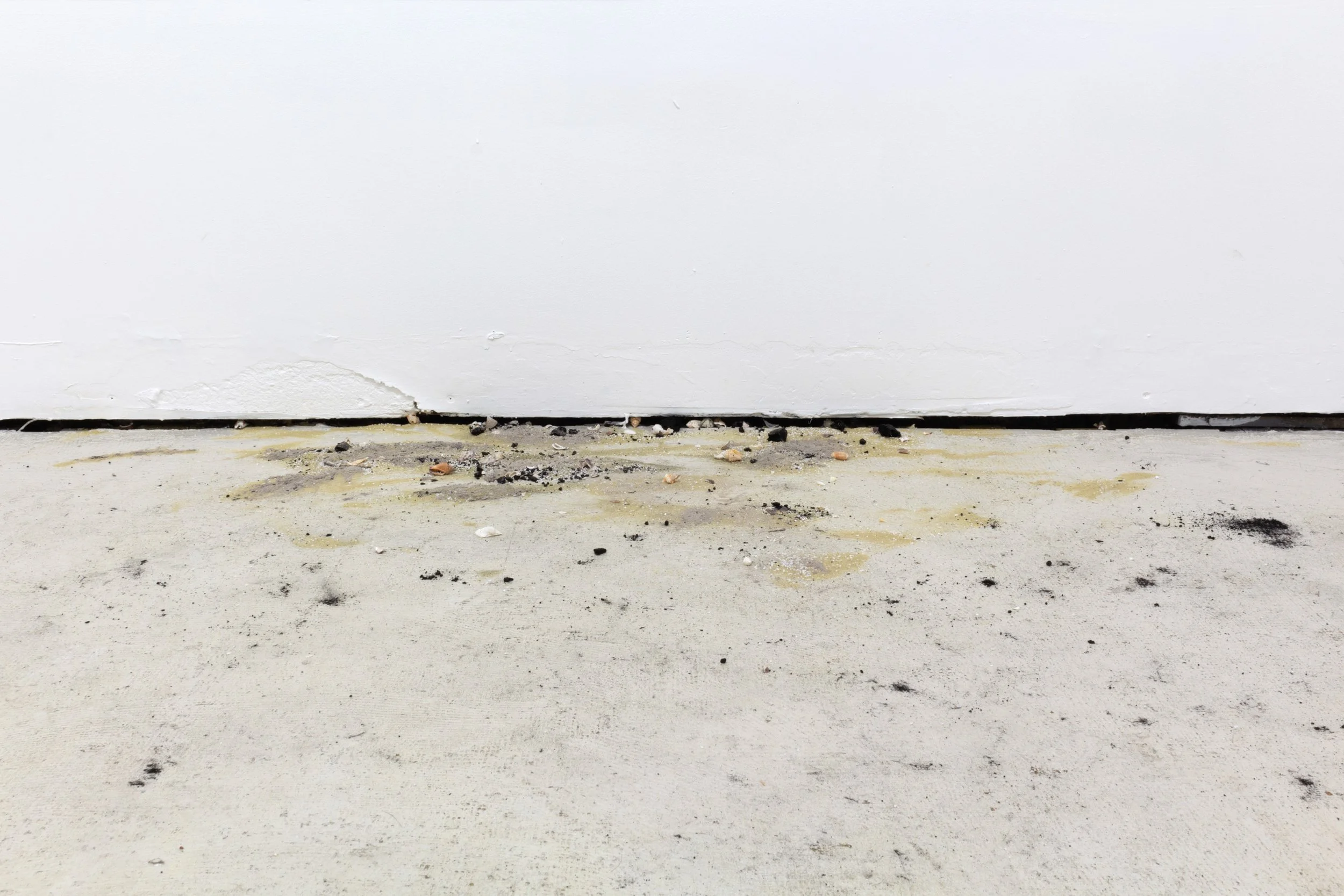   Ahead of Speech and Once More With Horror (The Tide Lures Itself Out Again) , 2022 Fired seashells/calcium oxide powder, charcoal, oak, ash, sand Dimensions variable 