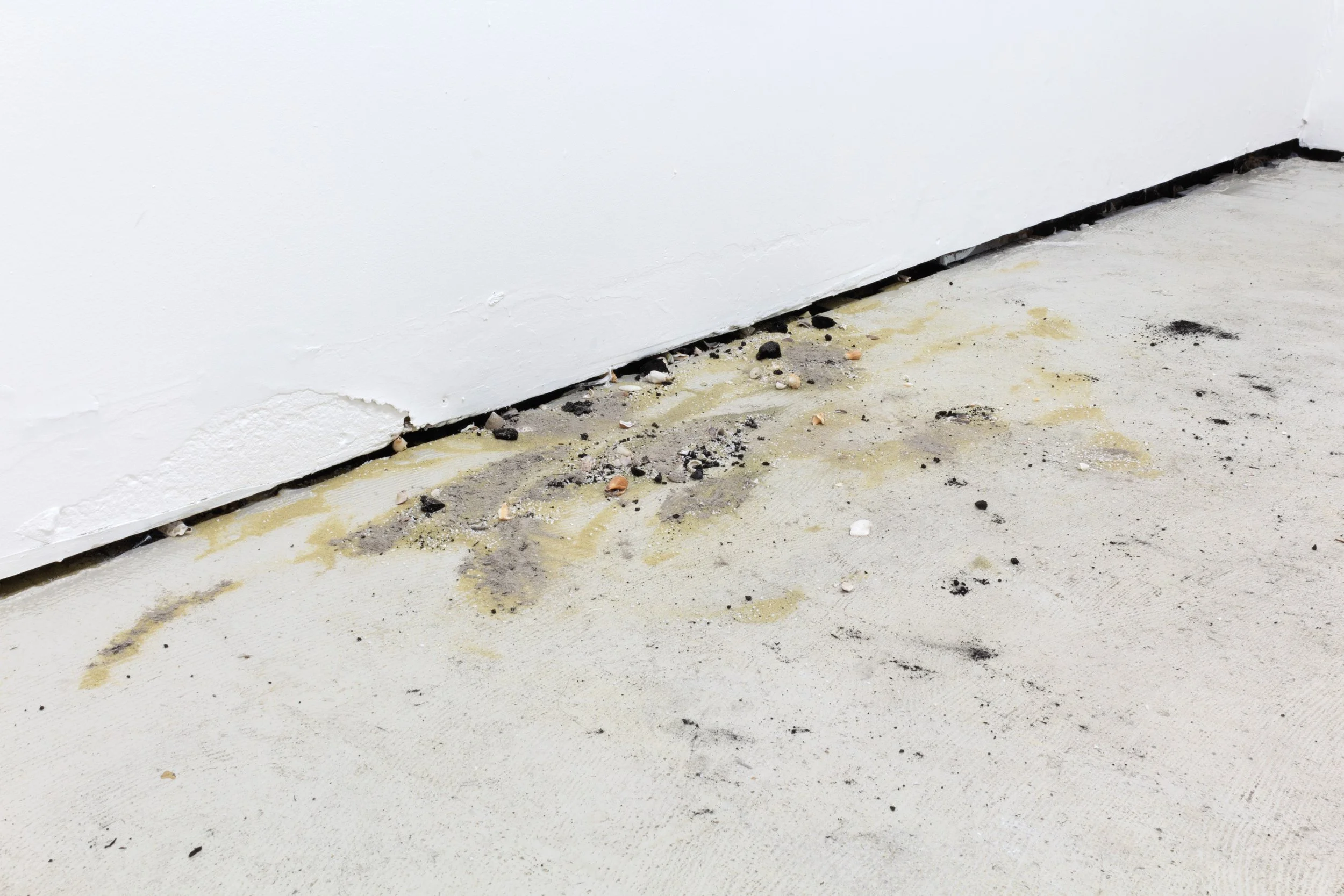   Ahead of Speech and Once More With Horror (The Tide Lures Itself Out Again) , 2022 Fired seashells/calcium oxide powder, charcoal, oak, ash, sand Dimensions variable 