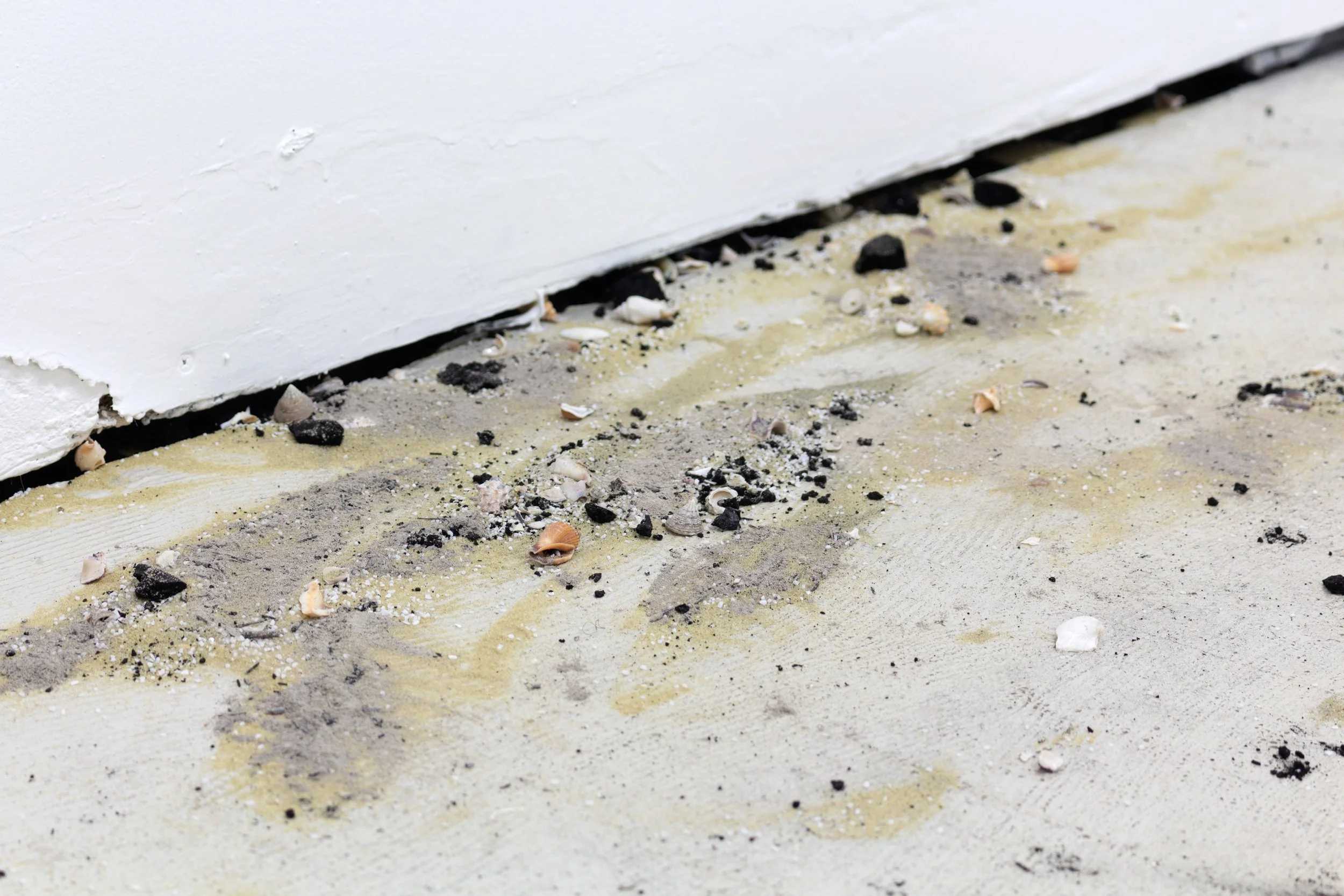   Ahead of Speech and Once More With Horror (The Tide Lures Itself Out Again) , 2022 Fired seashells/calcium oxide powder, charcoal, oak, ash, sand Dimensions variable 