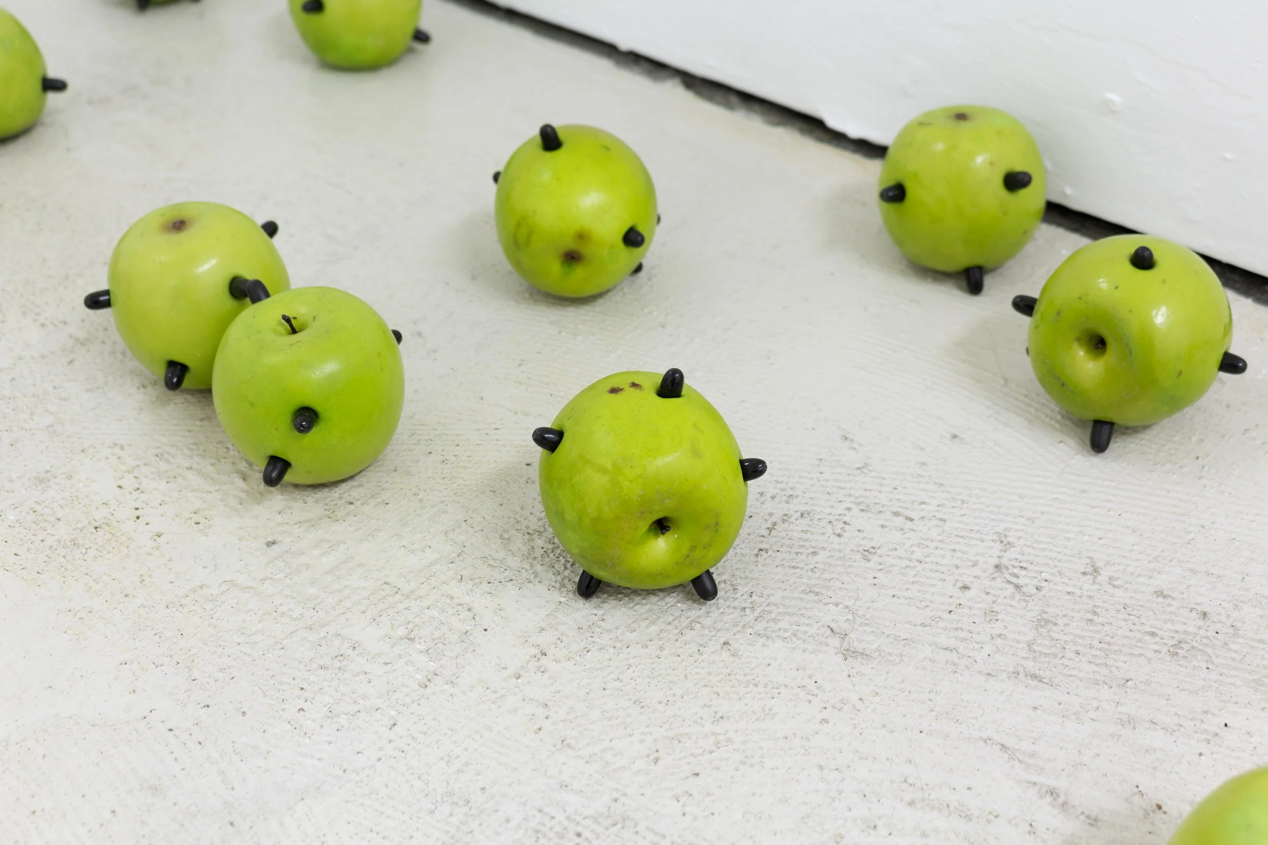  Graham Wiebe  Antipoison Apples , 2022 Plastic apples, activated charcoal pills Dimensions variable 