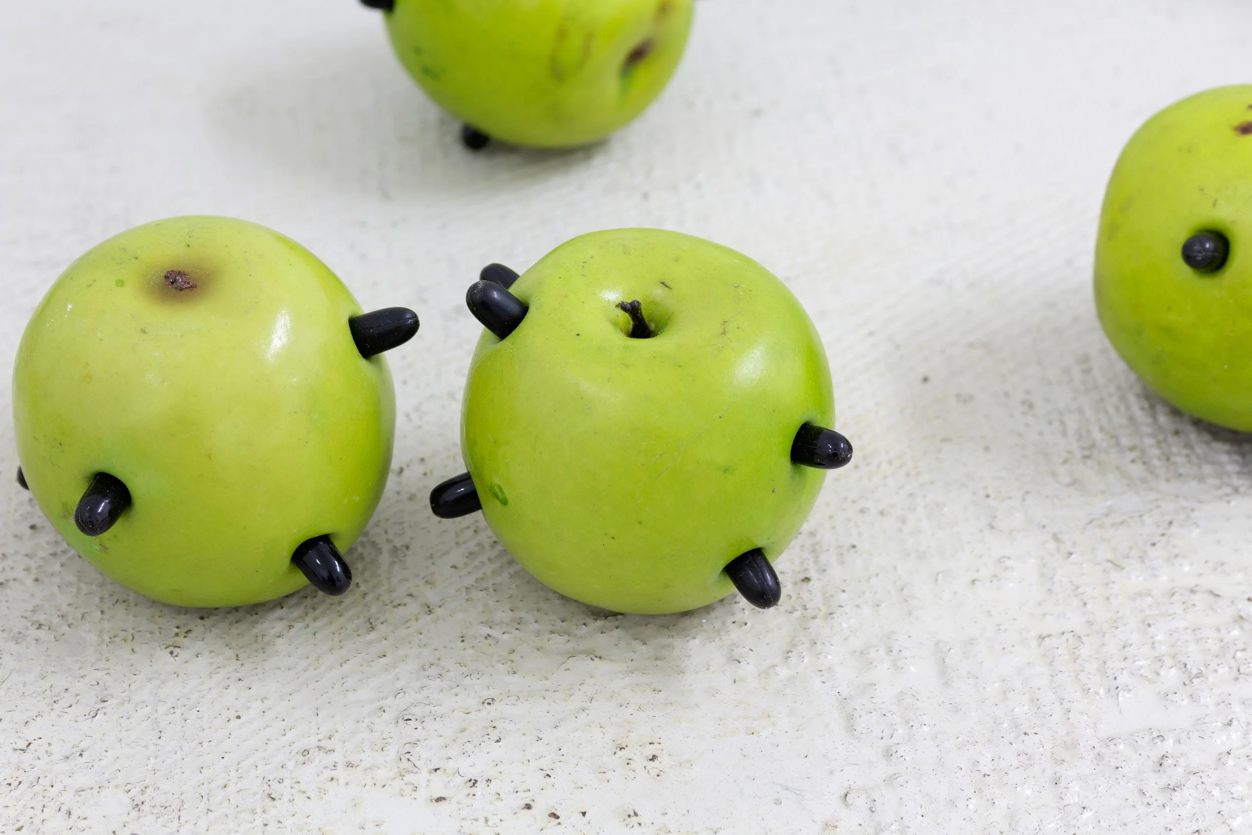6_Graham Wiebe_Antipoison Apples_2022_3.jpeg