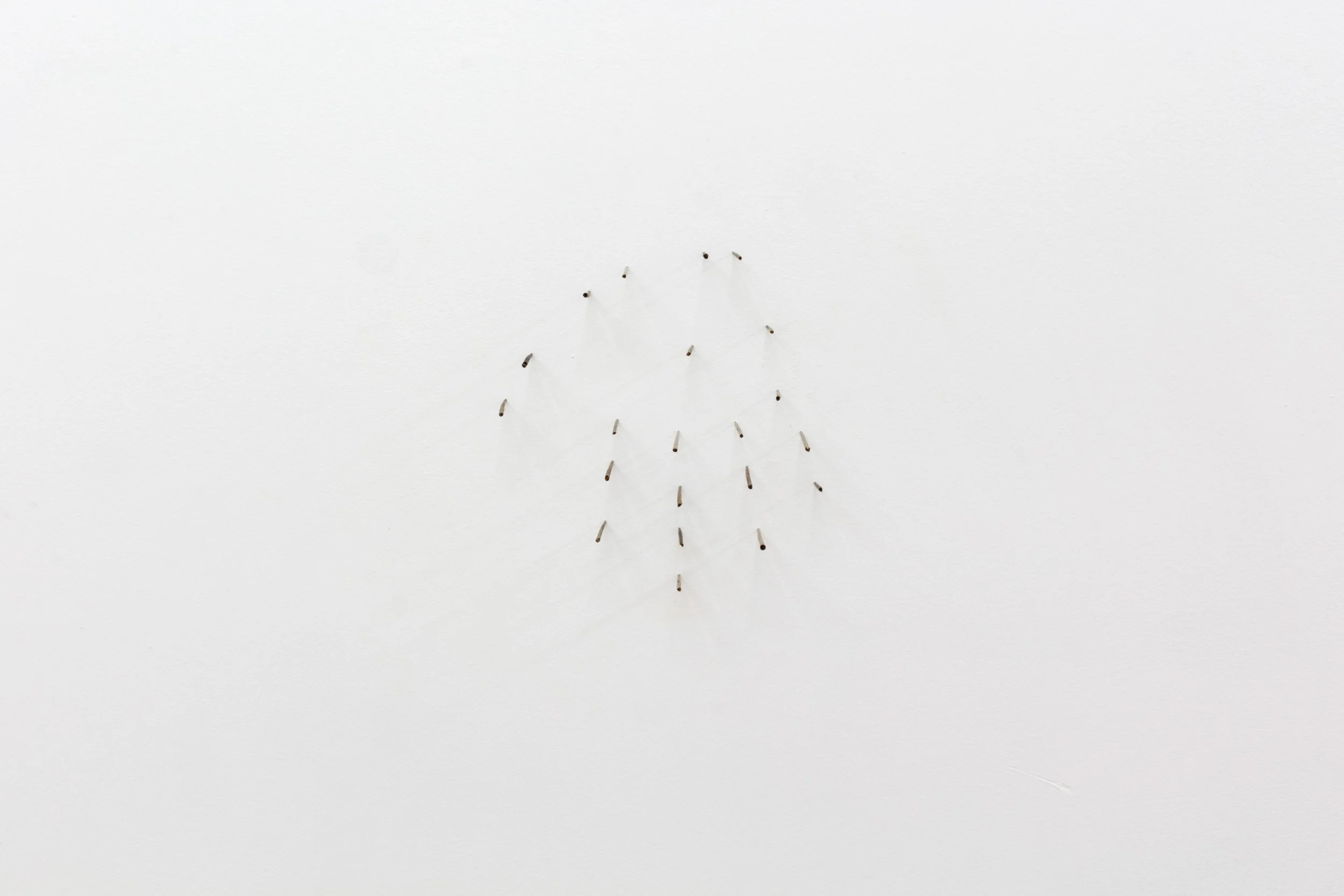  Graham Wiebe  Re-animation , 2022 (detail) Reclaimed rainstick needles Dimensions variable 