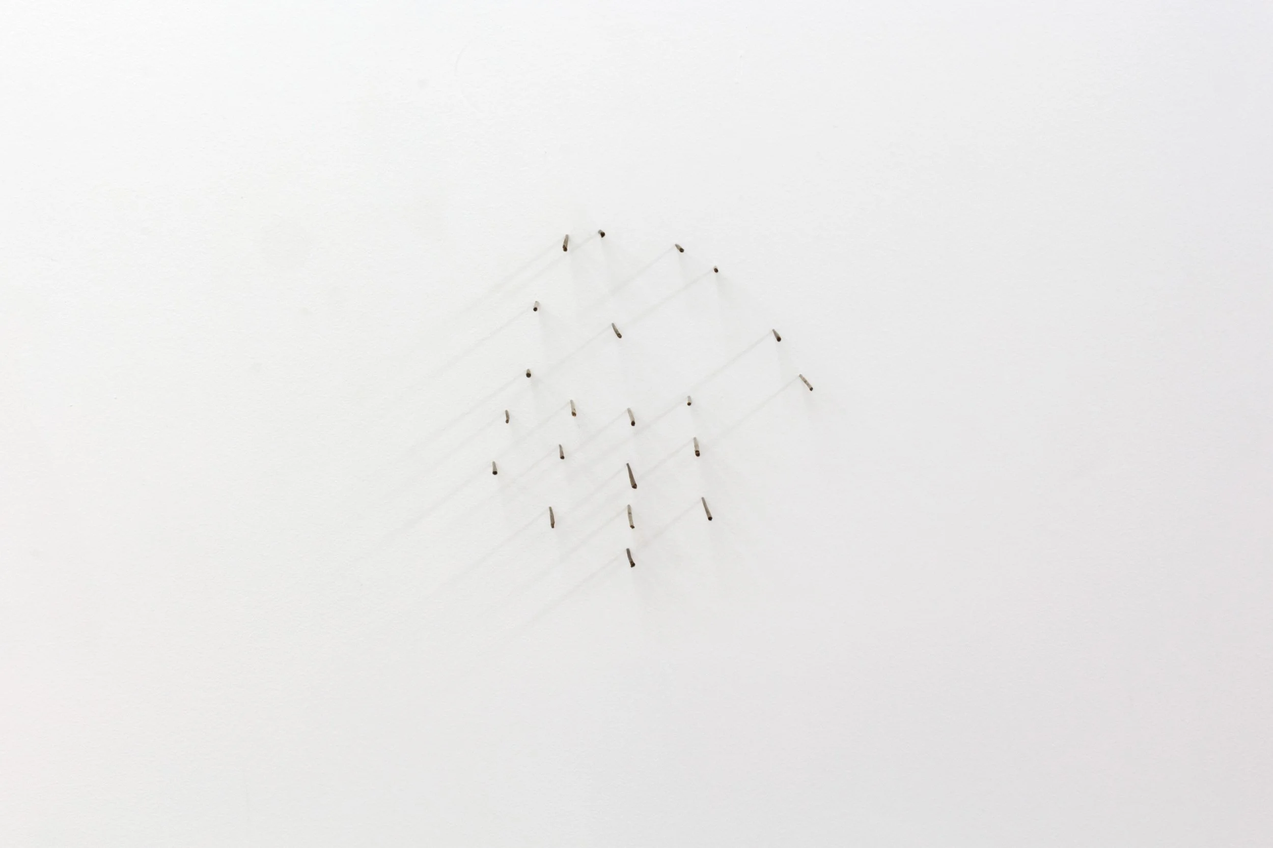  Graham Wiebe  Re-animation , 2022 (detail) Reclaimed rainstick needles Dimensions variable 