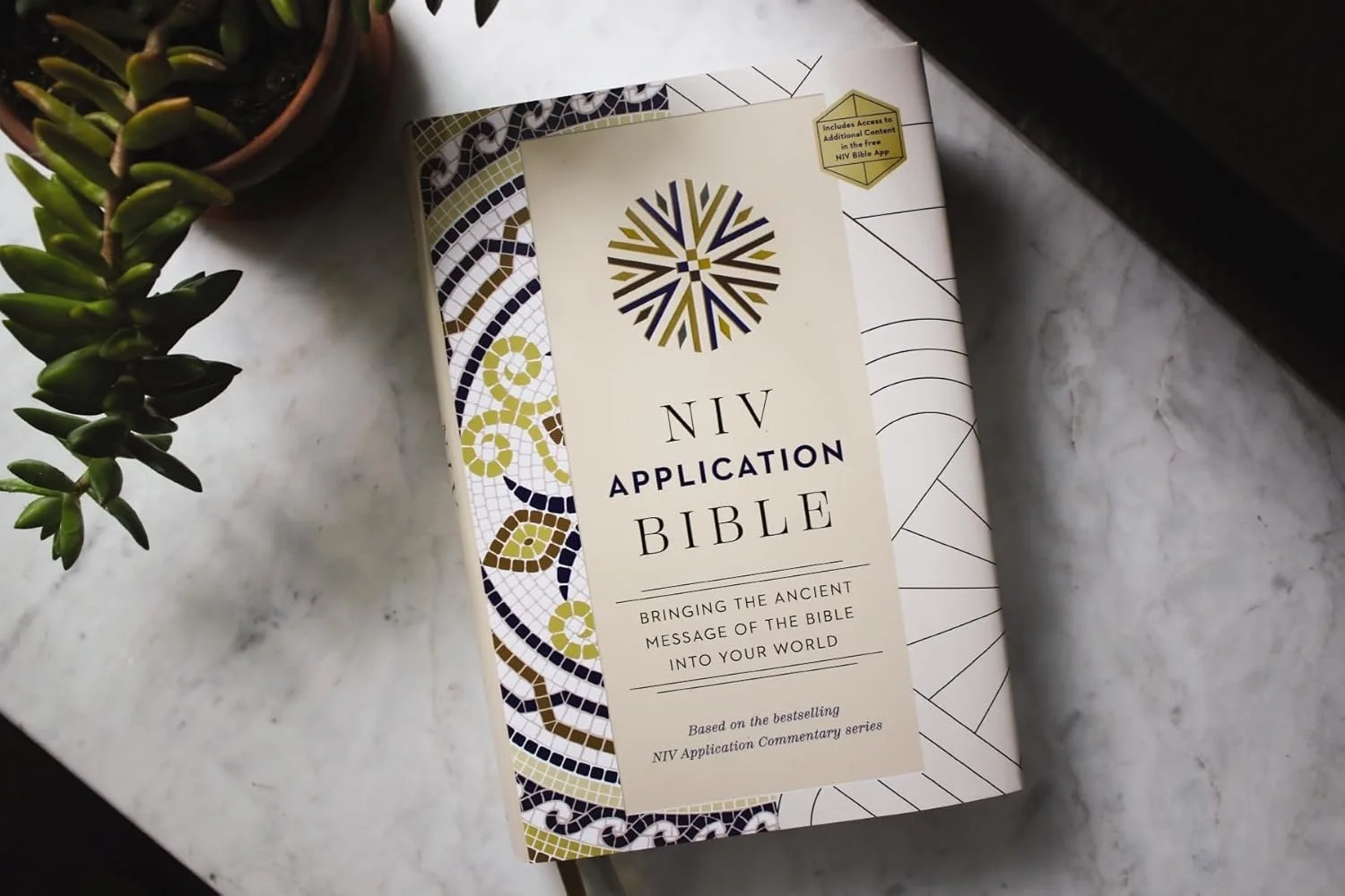 NIV Application Bible