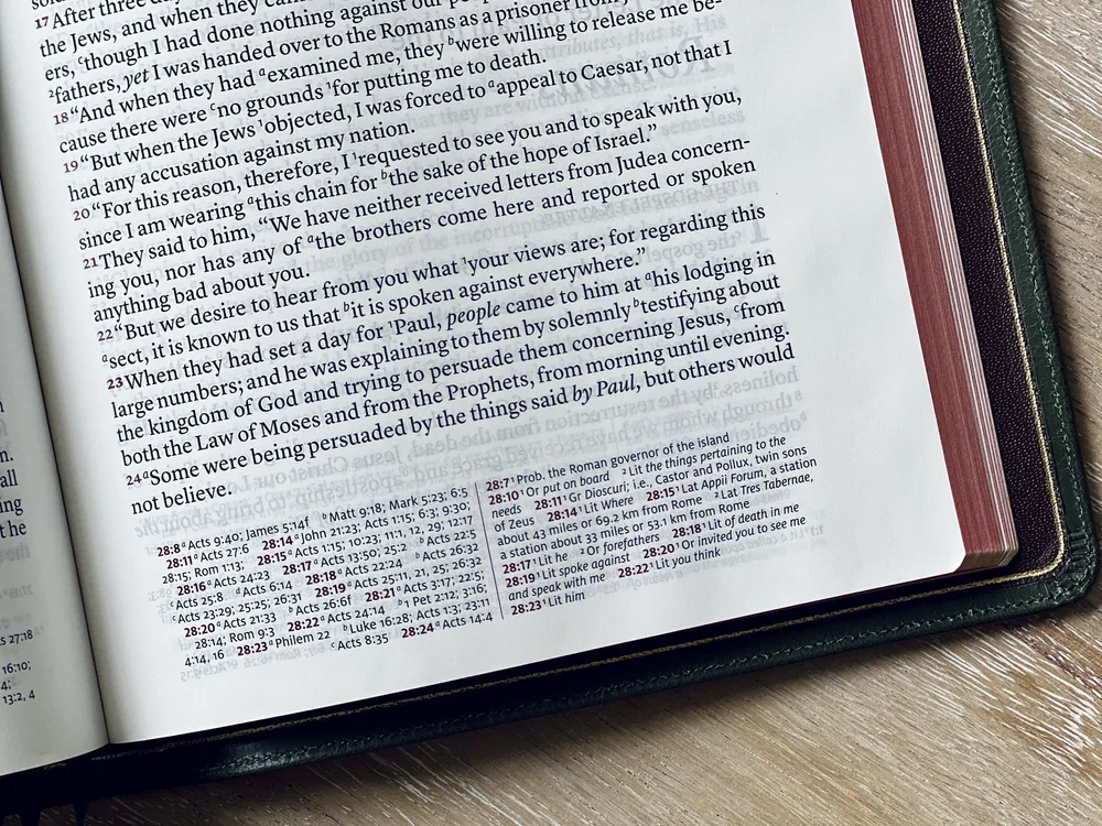 Schuyler Quentel Vs Stridon Tim Wildsmith