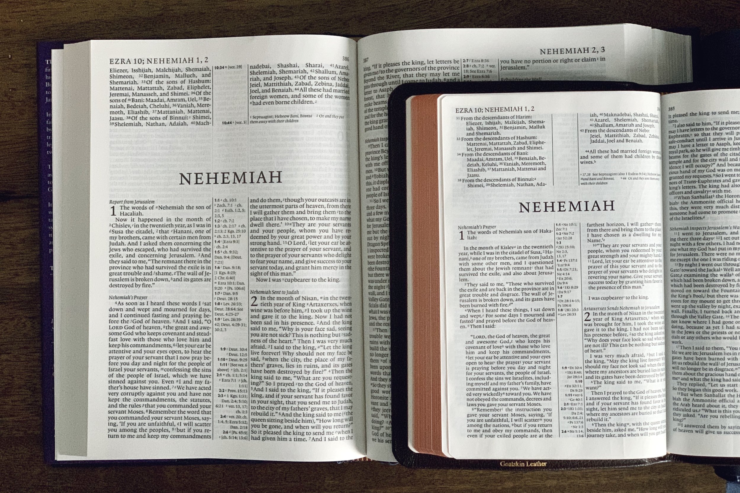 Cambridge ESV Diadem Leather — Bible Review Blog