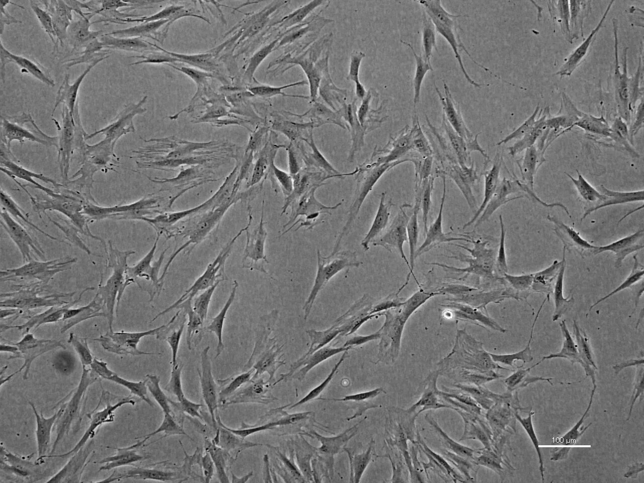 NHDF12 p=5 day4_20130607-5.jpg