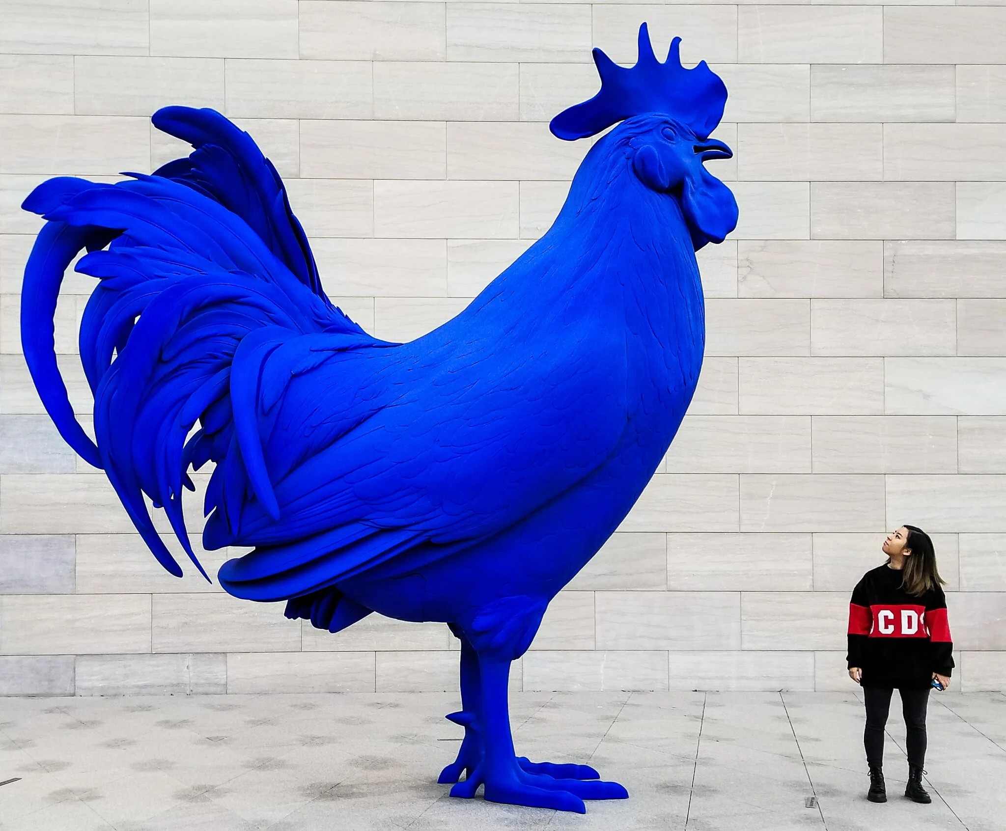 Katharina Fritsch, Hahn/Cock. National Gallery of Art, East Building, Washington DC. 2017