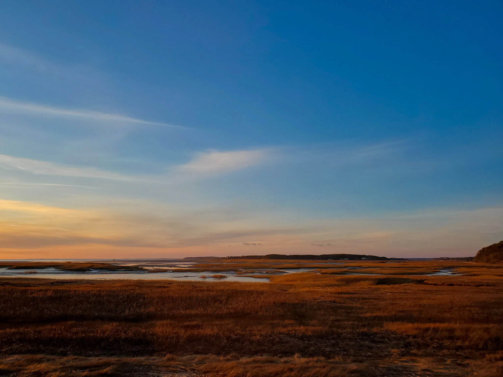 2020.12.26 cape cod-13.jpg