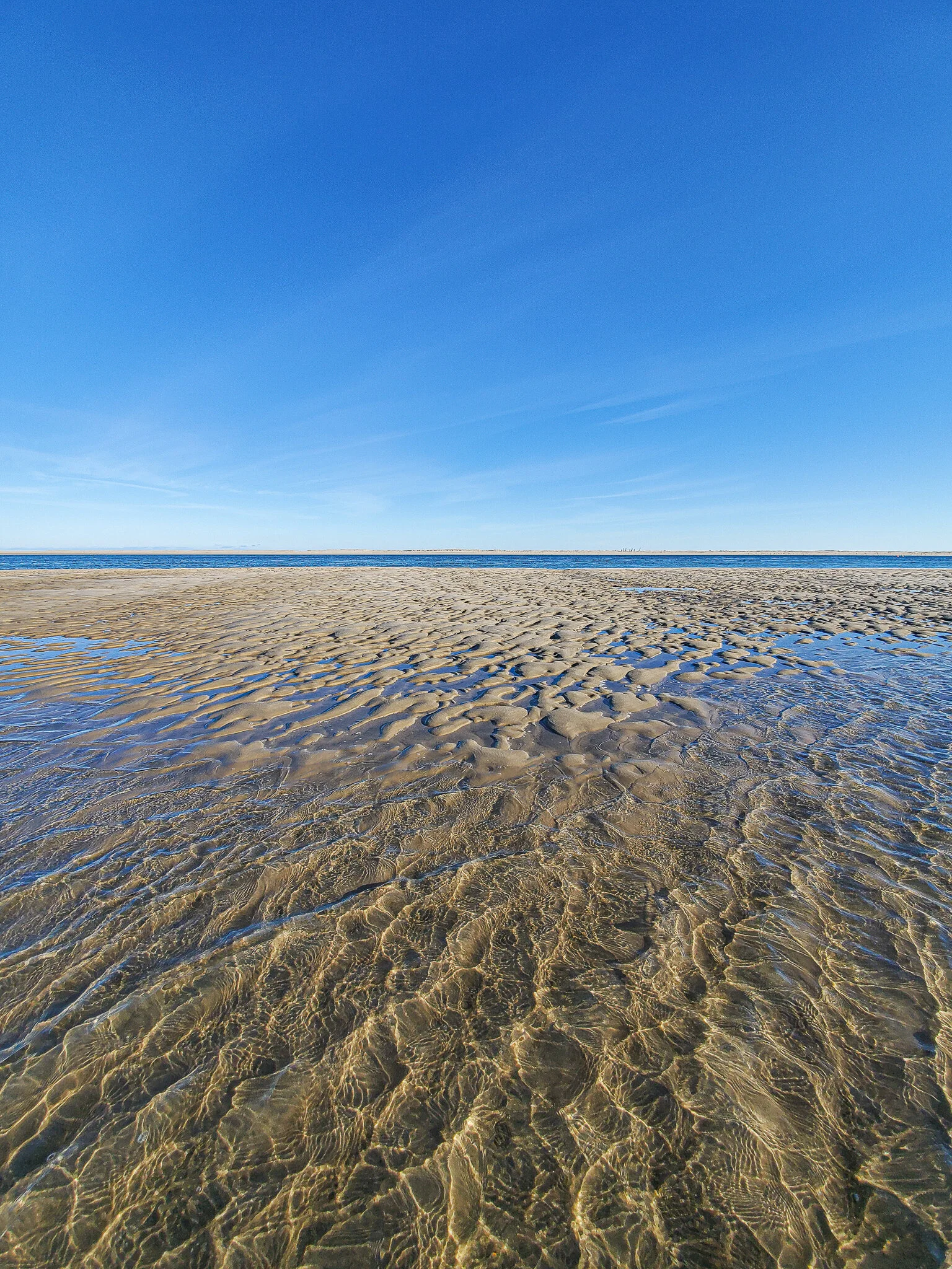 2020.12.26 cape cod-16.jpg