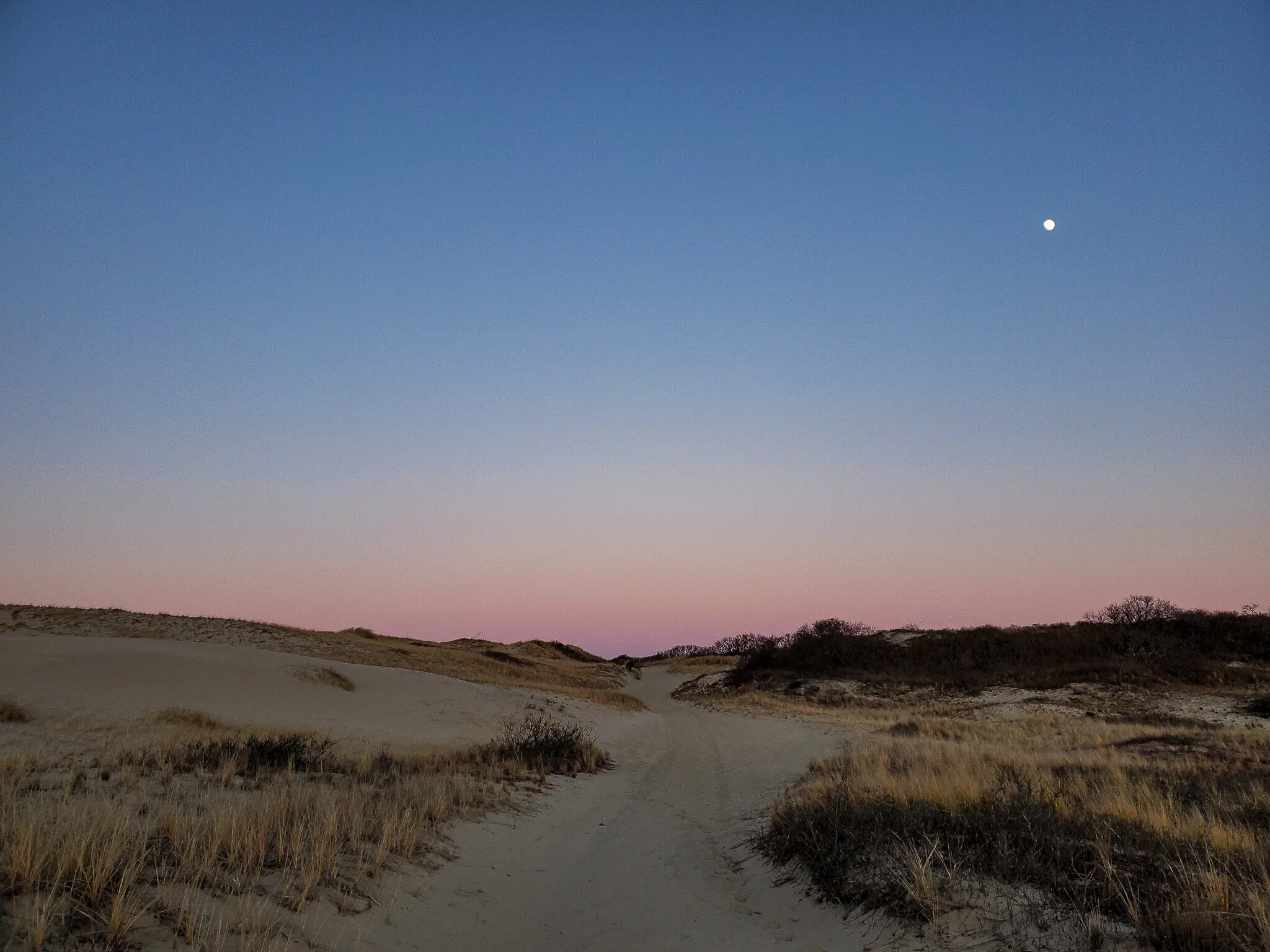 2020.12.26 cape cod-18.jpg