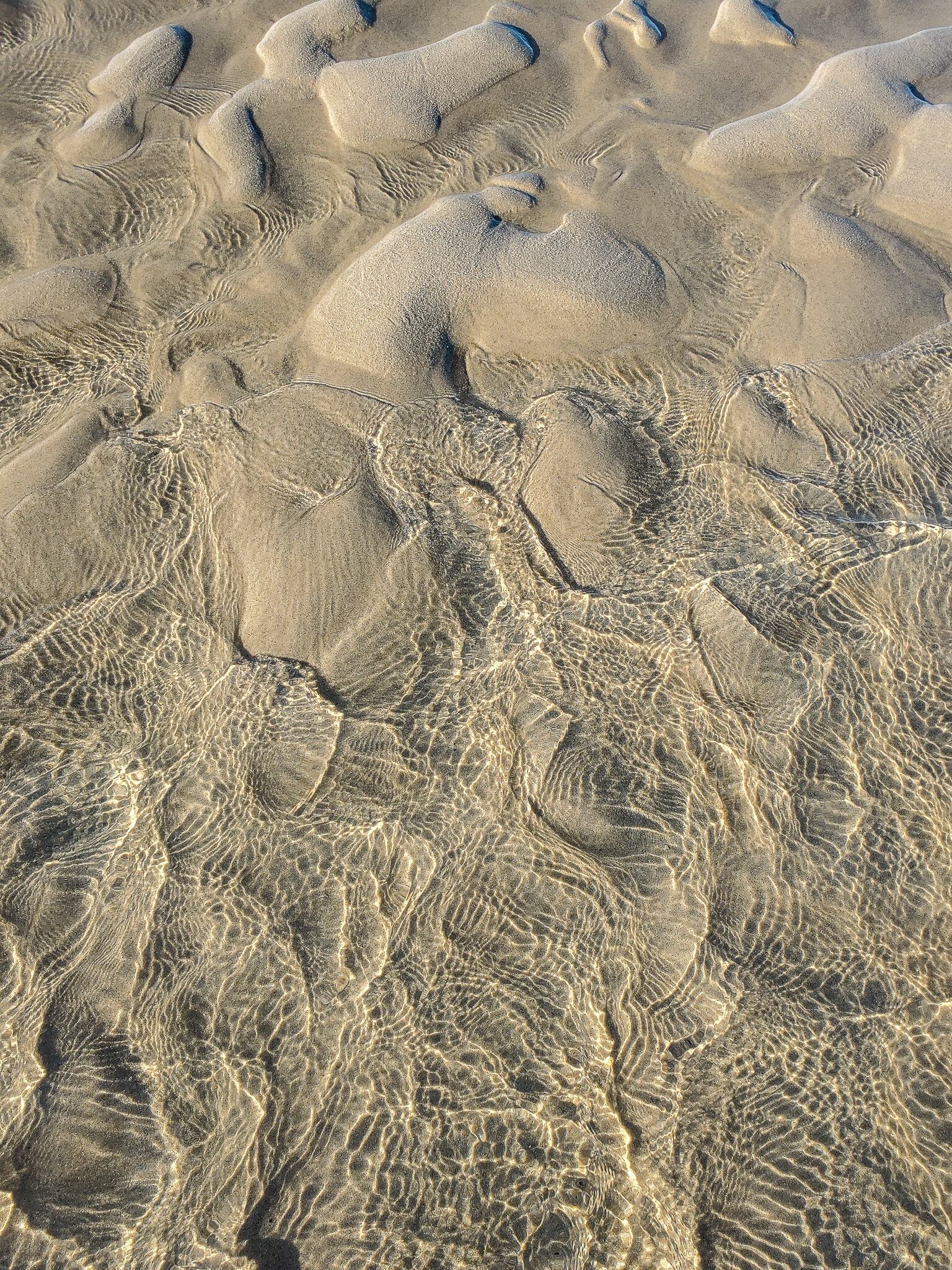 2020.12.26 cape cod-15.jpg